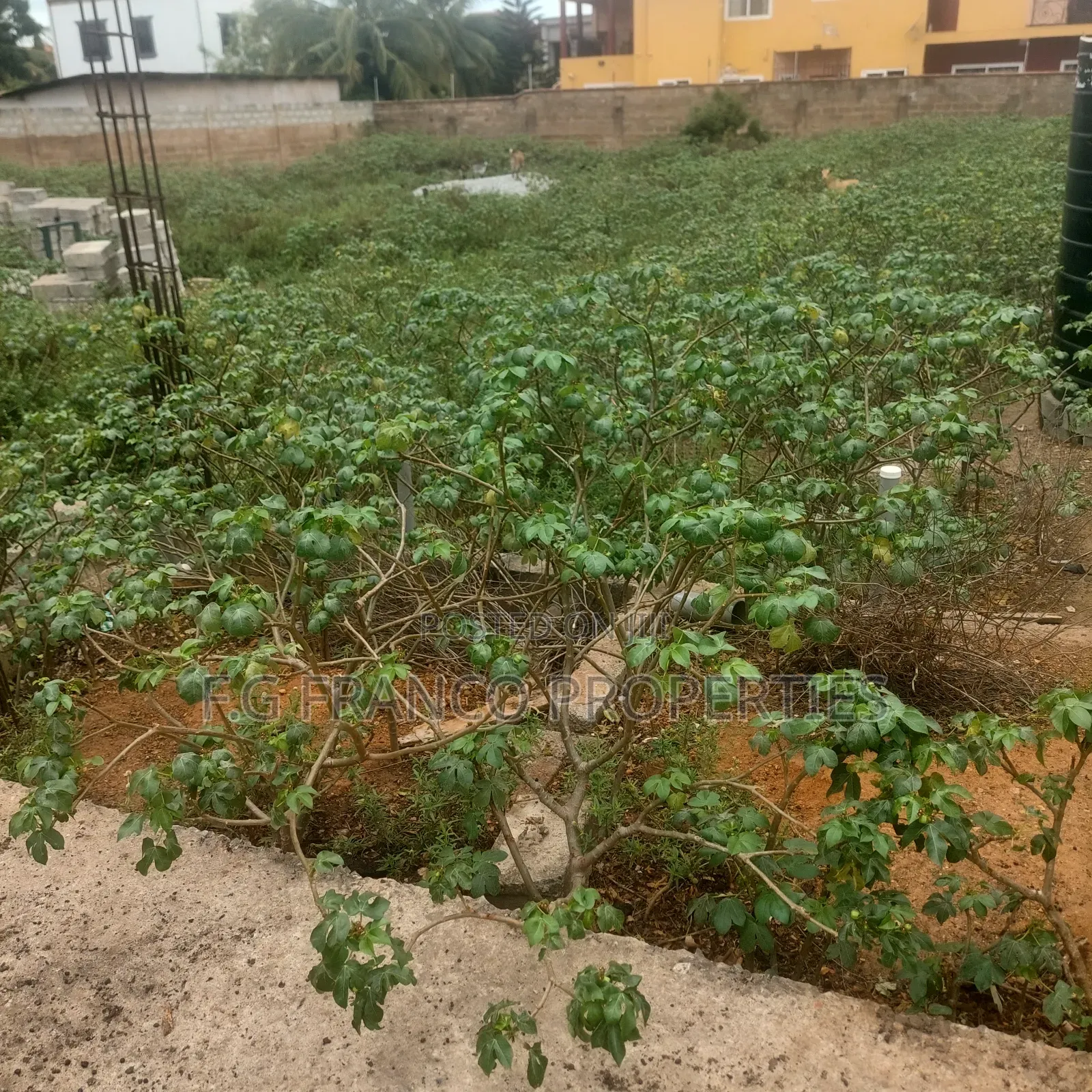 2 and Helf Plots for Sale at Spintex in Spintex