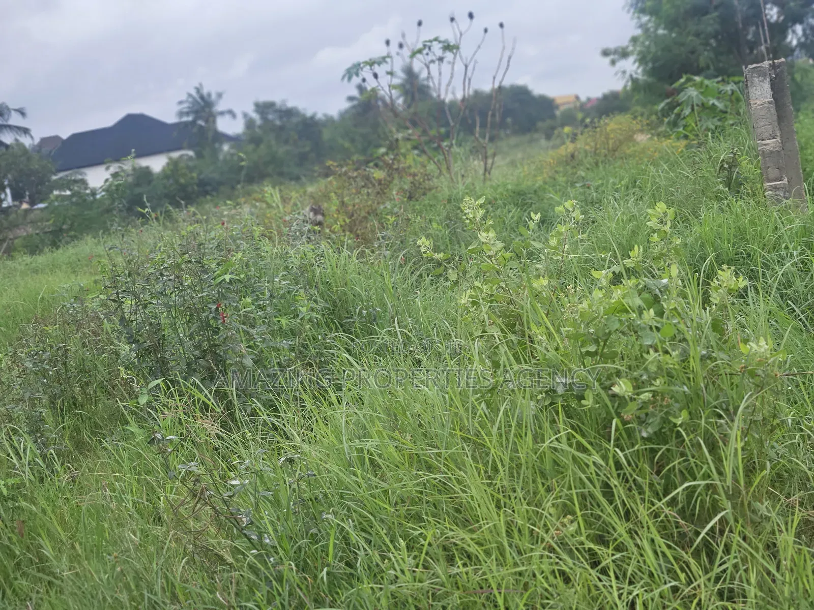 21 Acres Located at Dahwenya Close to B5 in Tema Metropolitan