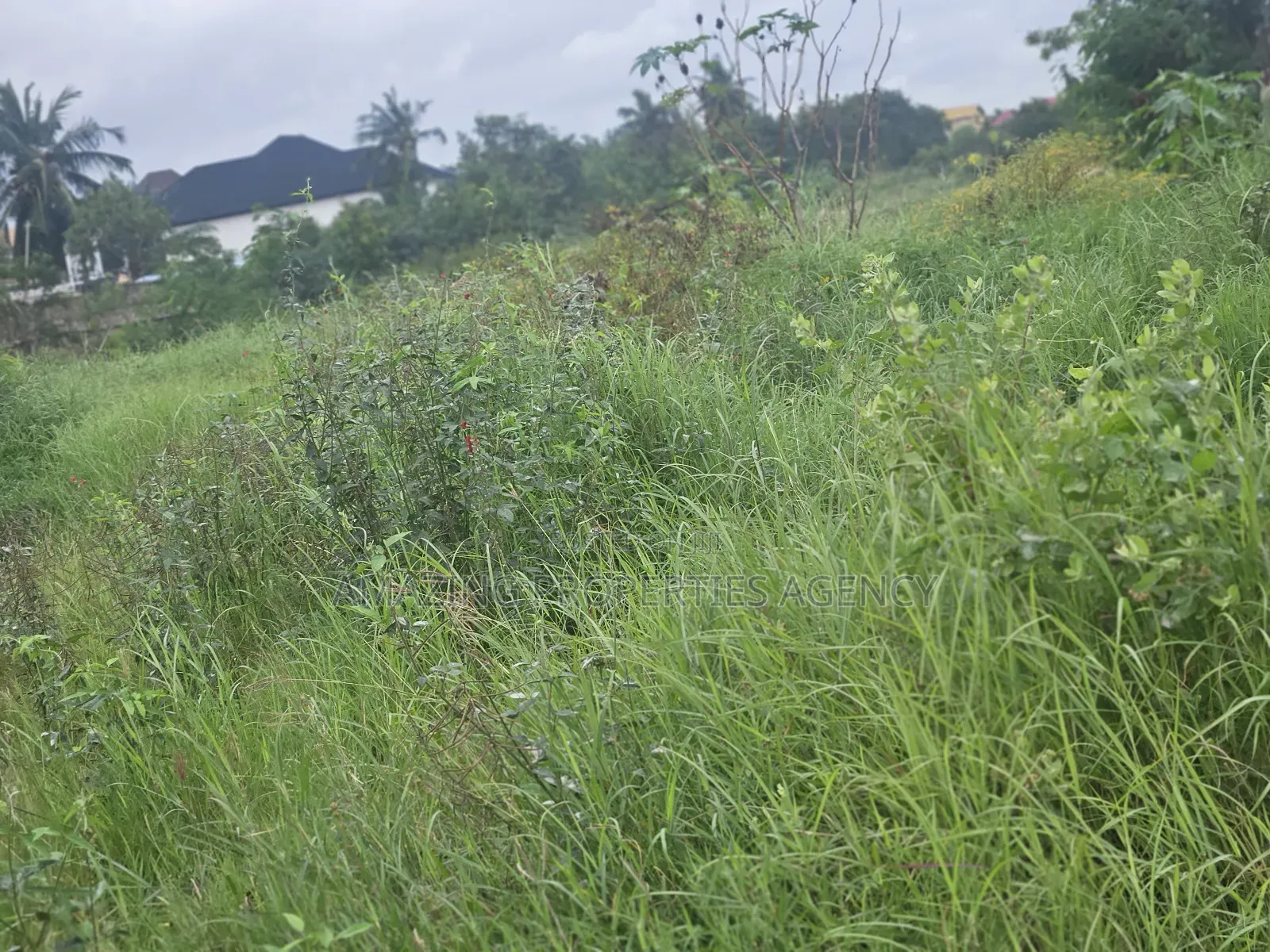 21 Acres Located at Dahwenya Close to B5 in Tema Metropolitan