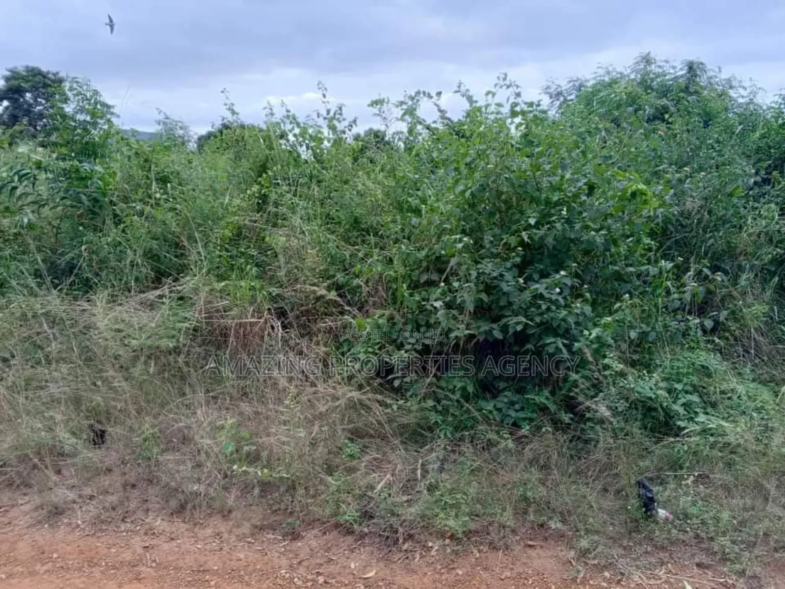 8 and Half Plots of Land for Sale at North Legon in North Legon