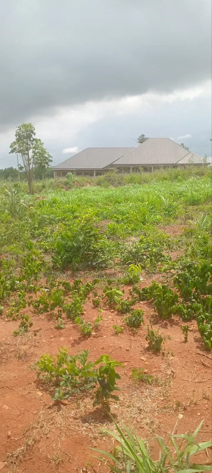 Alpha Real Estate Company LTD Land for Sale at Kasoa Akraman in Awutu Senya East Municipal
