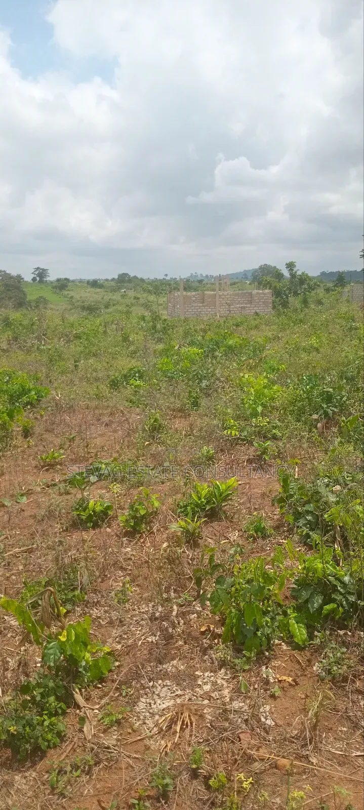 Alpha Real Estate Company LTD Land for Sale at Kasoa Akraman in Awutu Senya East Municipal