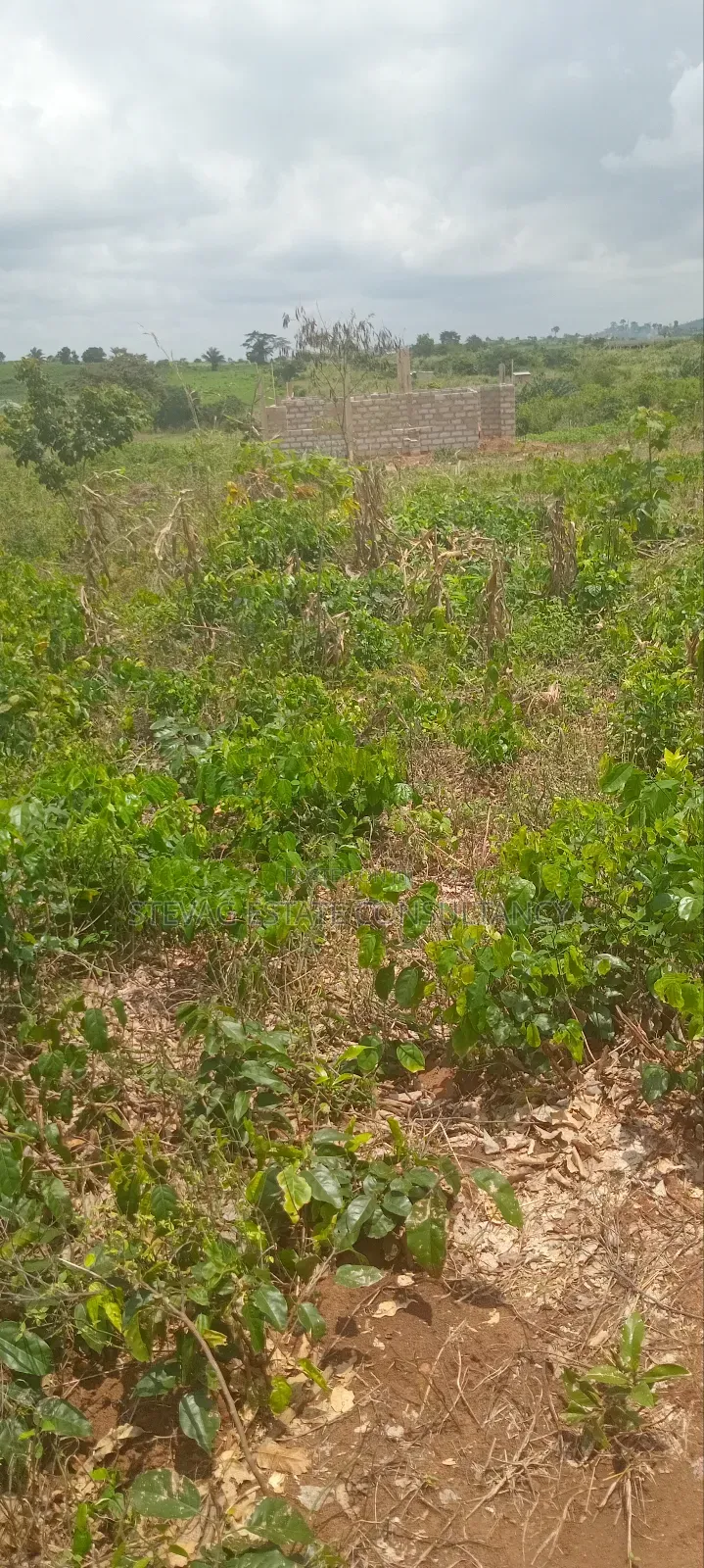 Alpha Real Estate Company LTD Land for Sale at Kasoa Akraman in Awutu Senya East Municipal