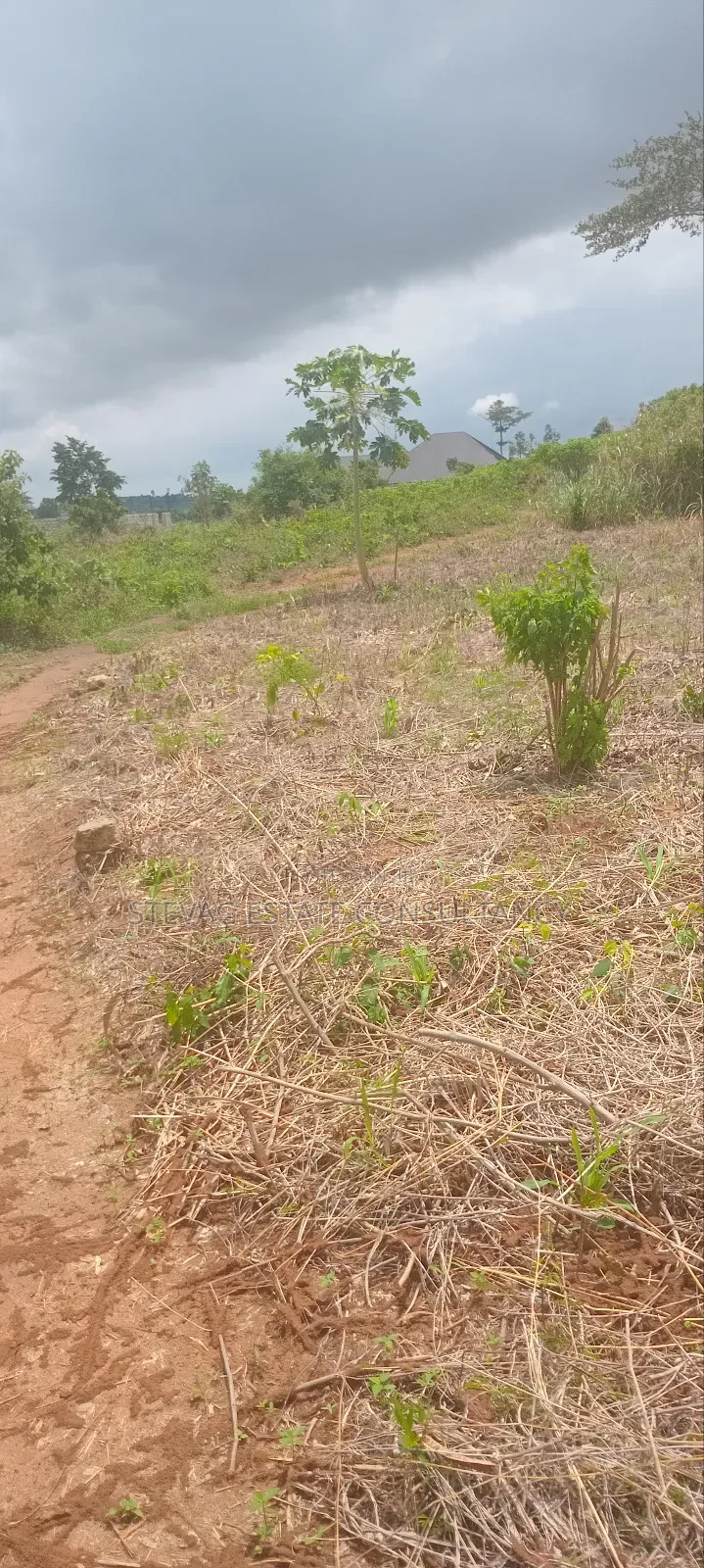 Land for Sale at Nsawam Ayibontey in Akuapim North