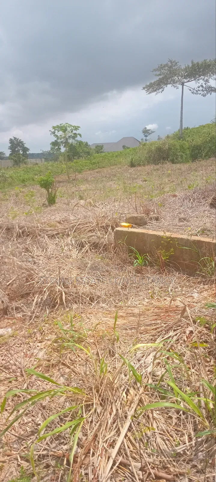 Land for Sale at Nsawam Ayibontey in Akuapim North