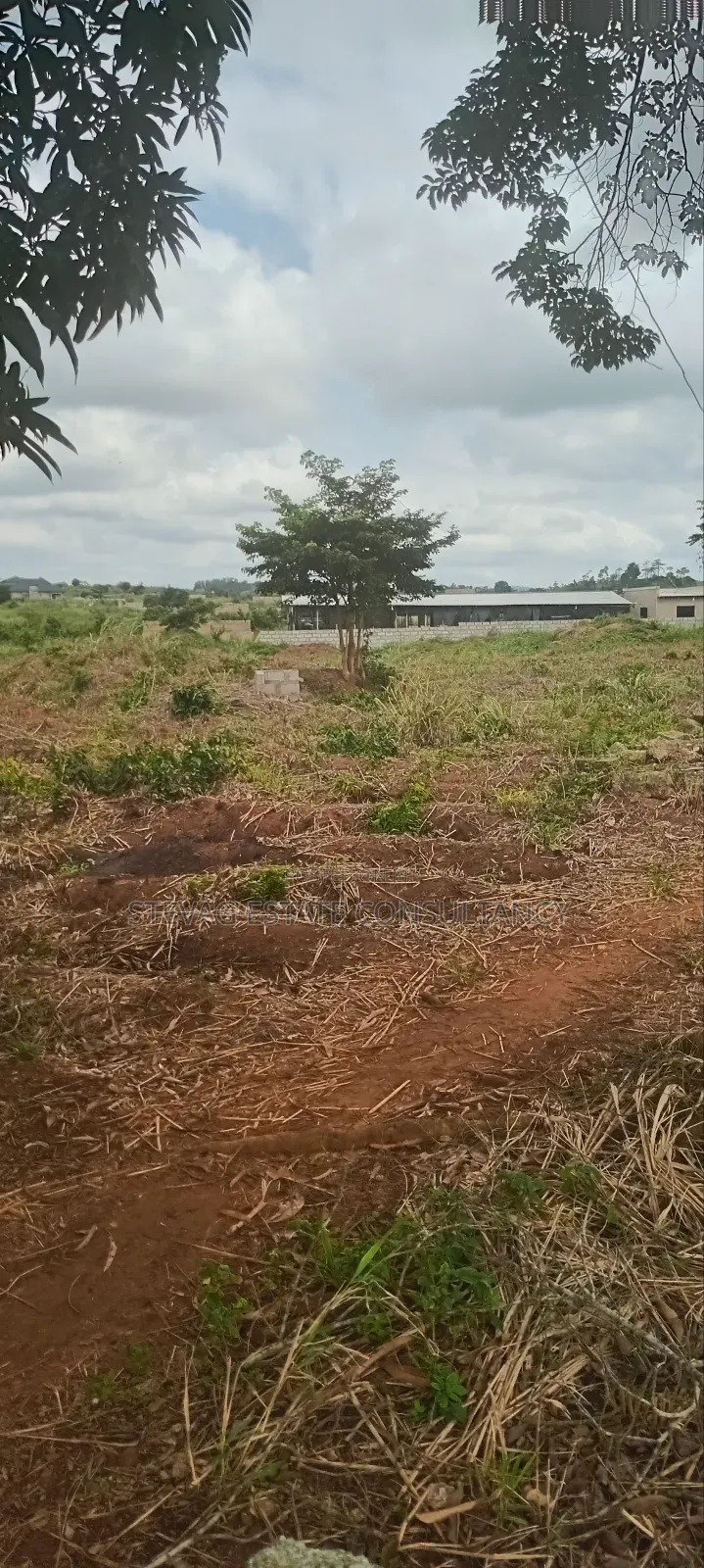 Land for Sale at Nsawam Ayibontey in Akuapim North