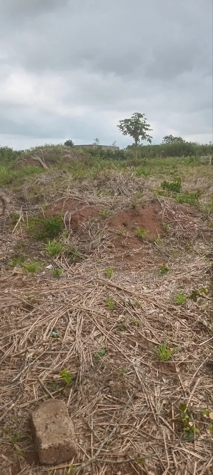 Land for Sale at Nsawam Ayibontey in Akuapim North