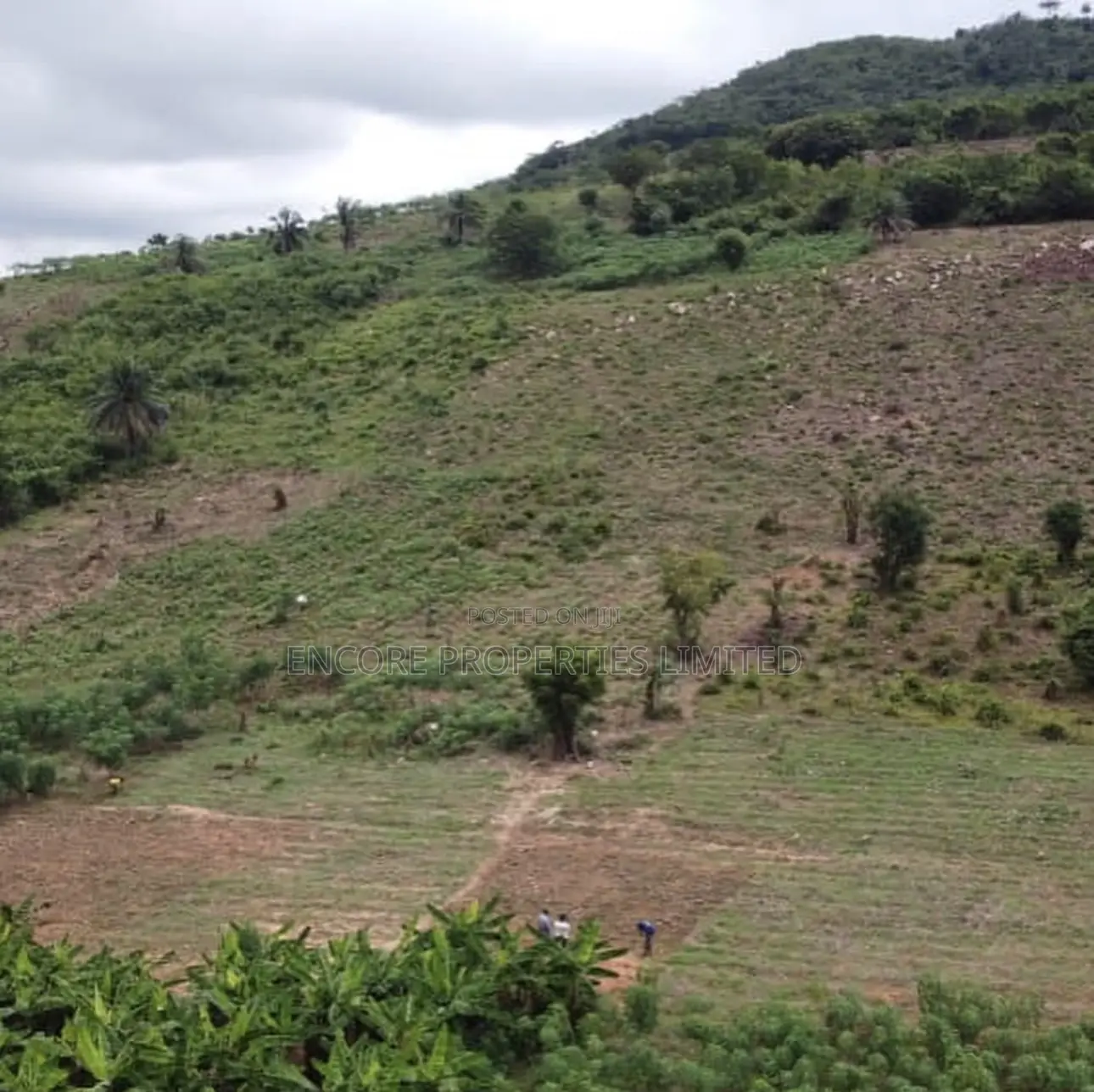 Beautiful Mountain Lake View Serviced Plots Near the Adomi Bridge in Asuogyaman