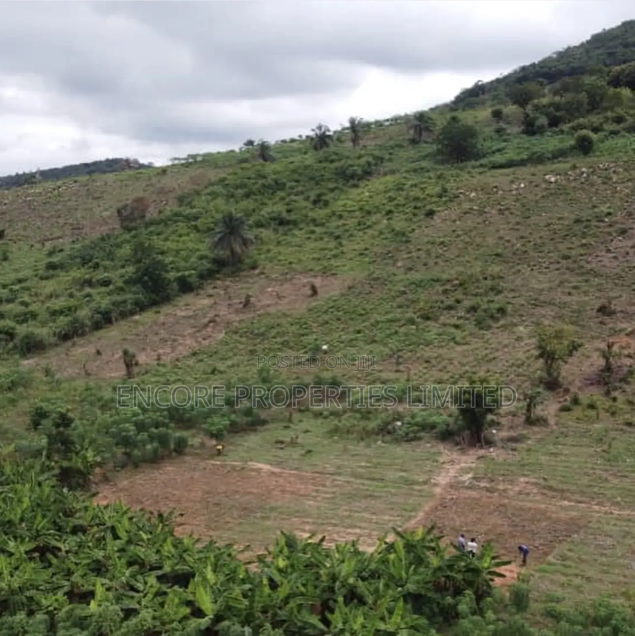 Beautiful Mountain Lake View Serviced Plots Near the Adomi Bridge in Asuogyaman