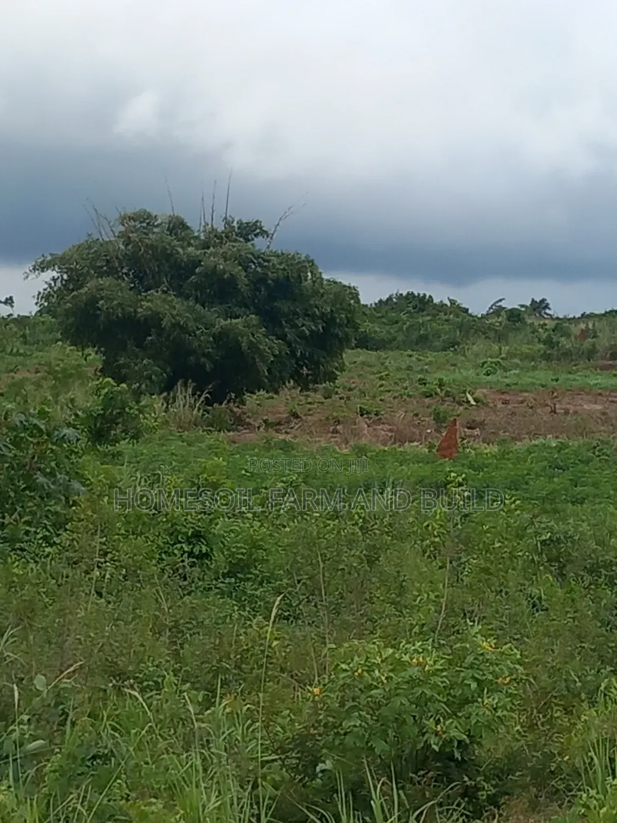 3 Plots of Registered Land at Kasoa Jei River in Awutu Senya West