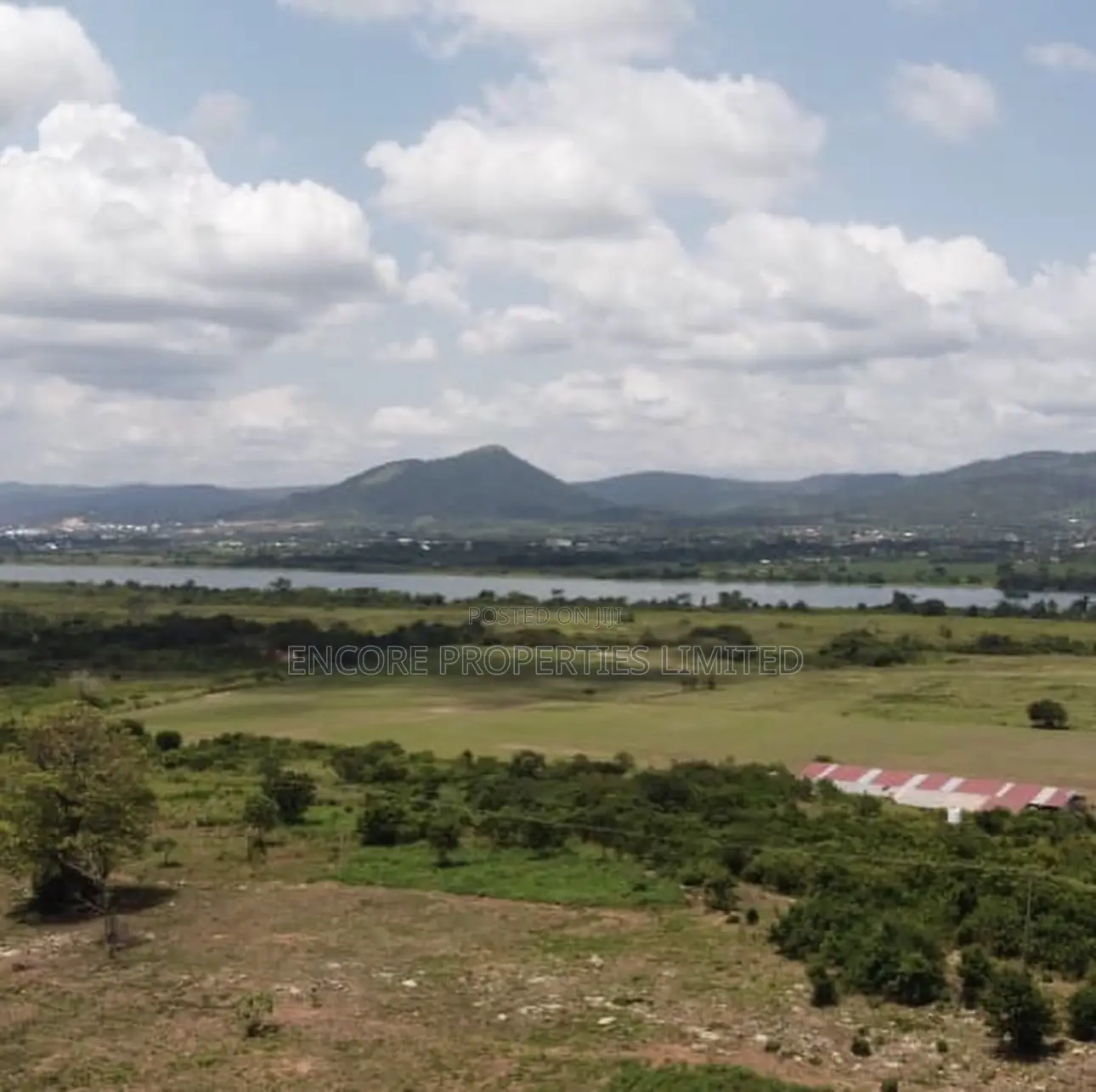 100 Acres of Fertile Farmland in Atimpoku, Akrad in Asuogyaman