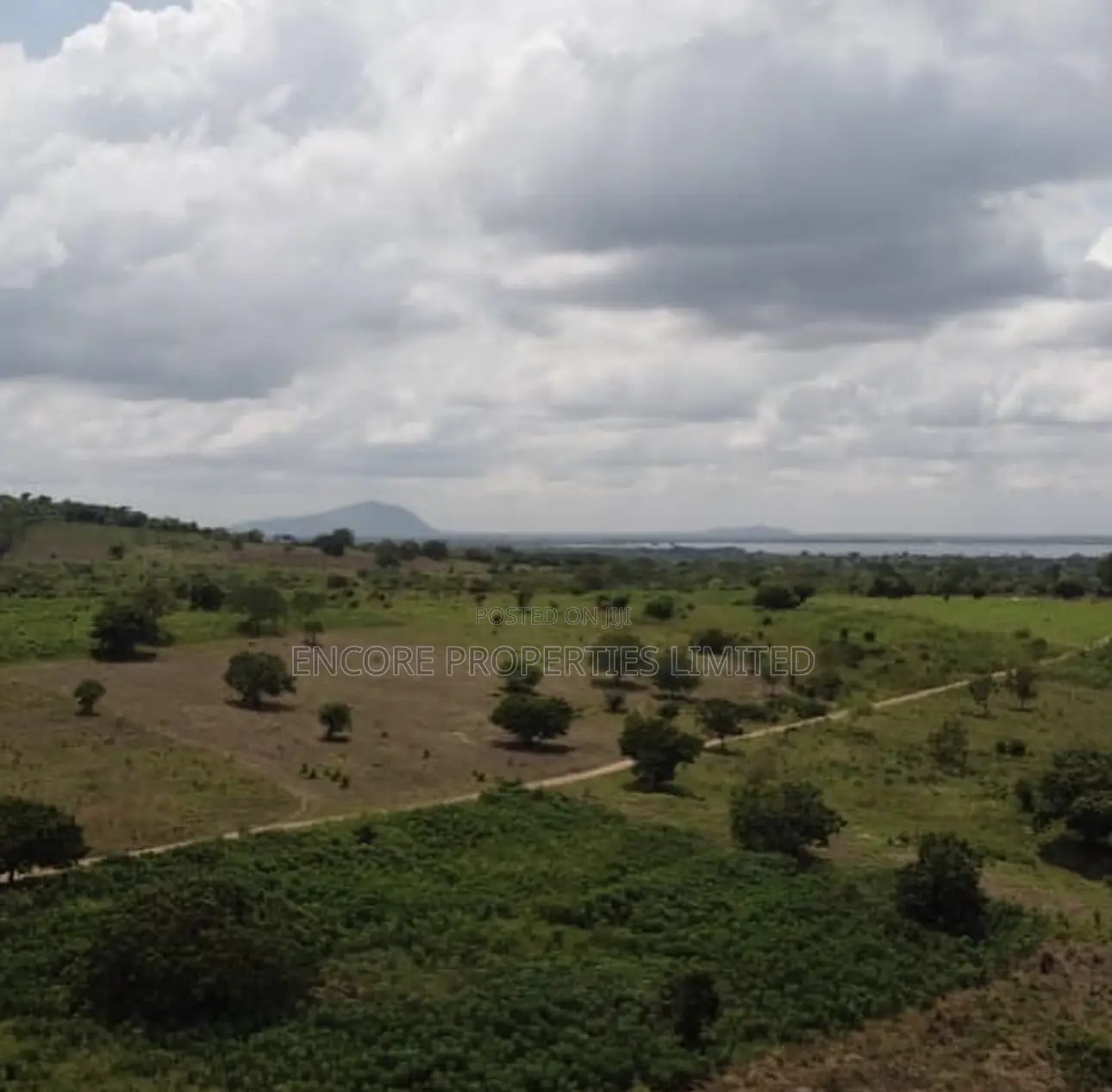 100 Acres of Fertile Farmland in Atimpoku, Akrad in Asuogyaman