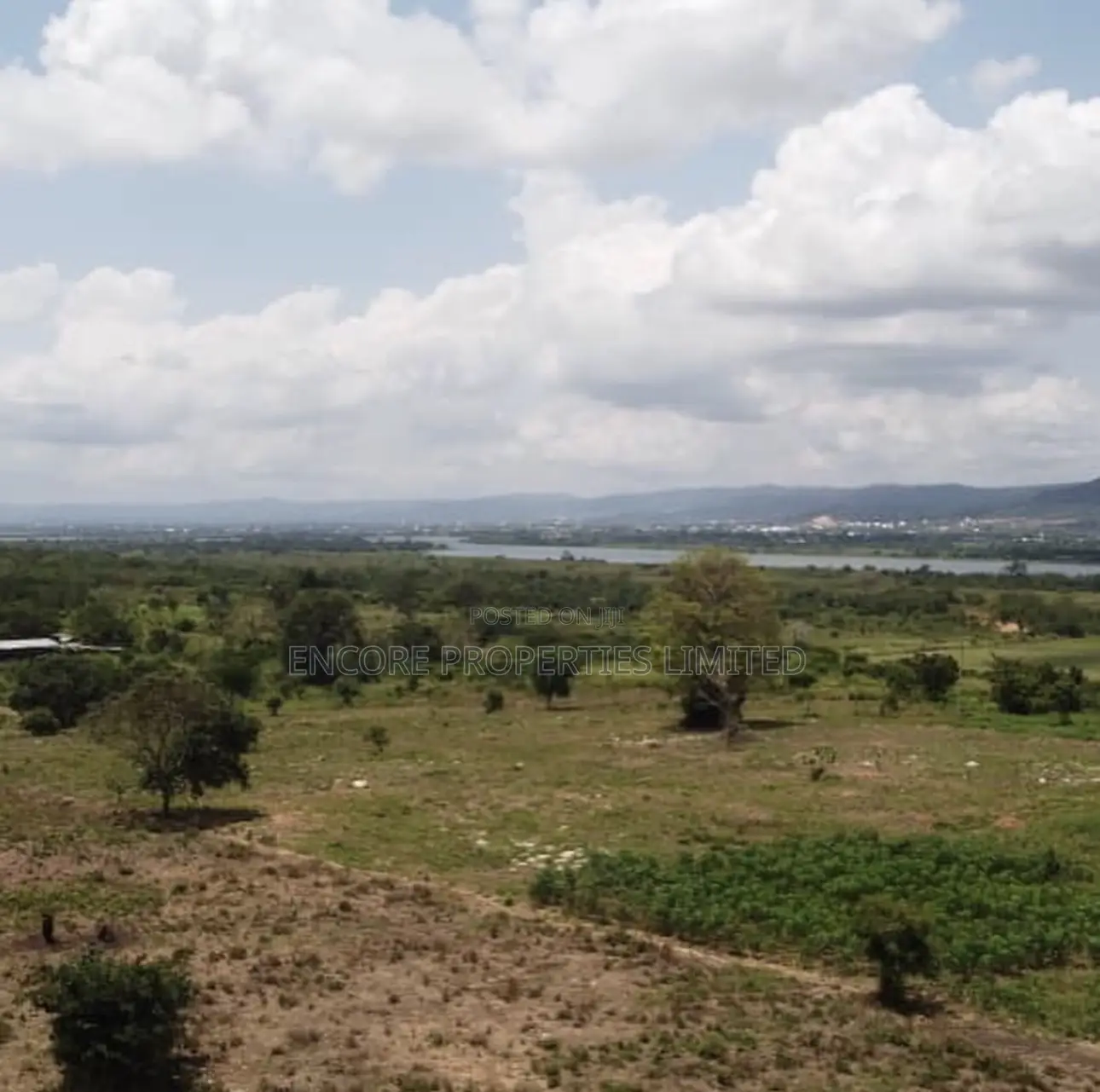 100 Acres of Fertile Farmland in Atimpoku, Akrad in Asuogyaman