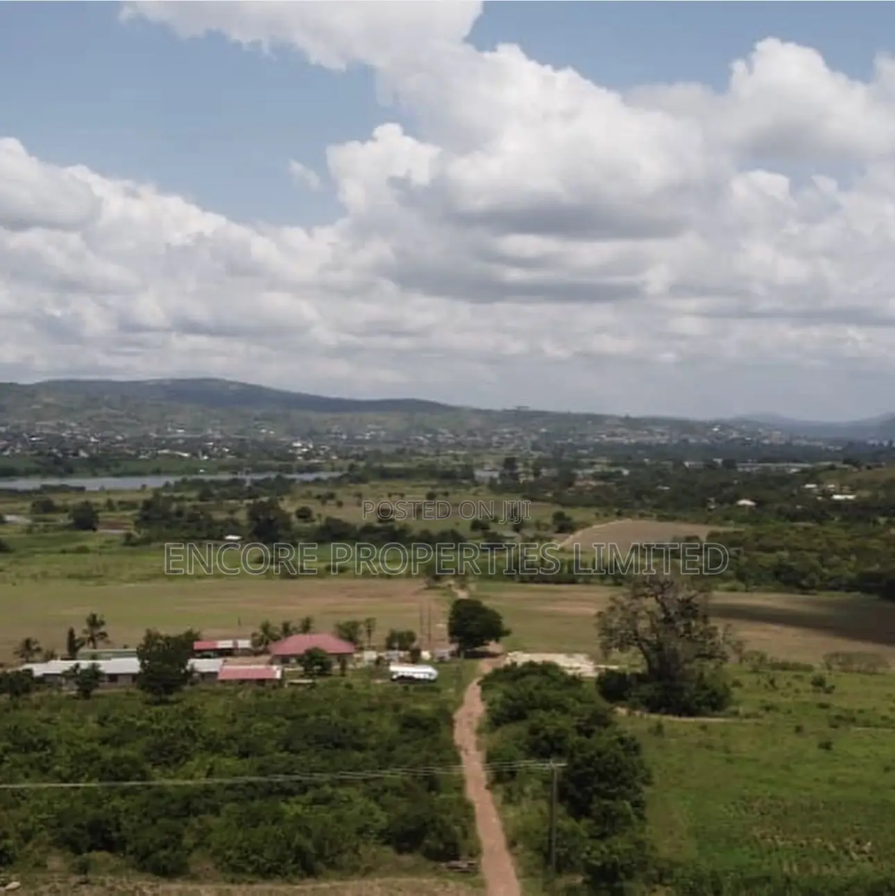 100 Acres of Fertile Farmland in Atimpoku, Akrad in Asuogyaman