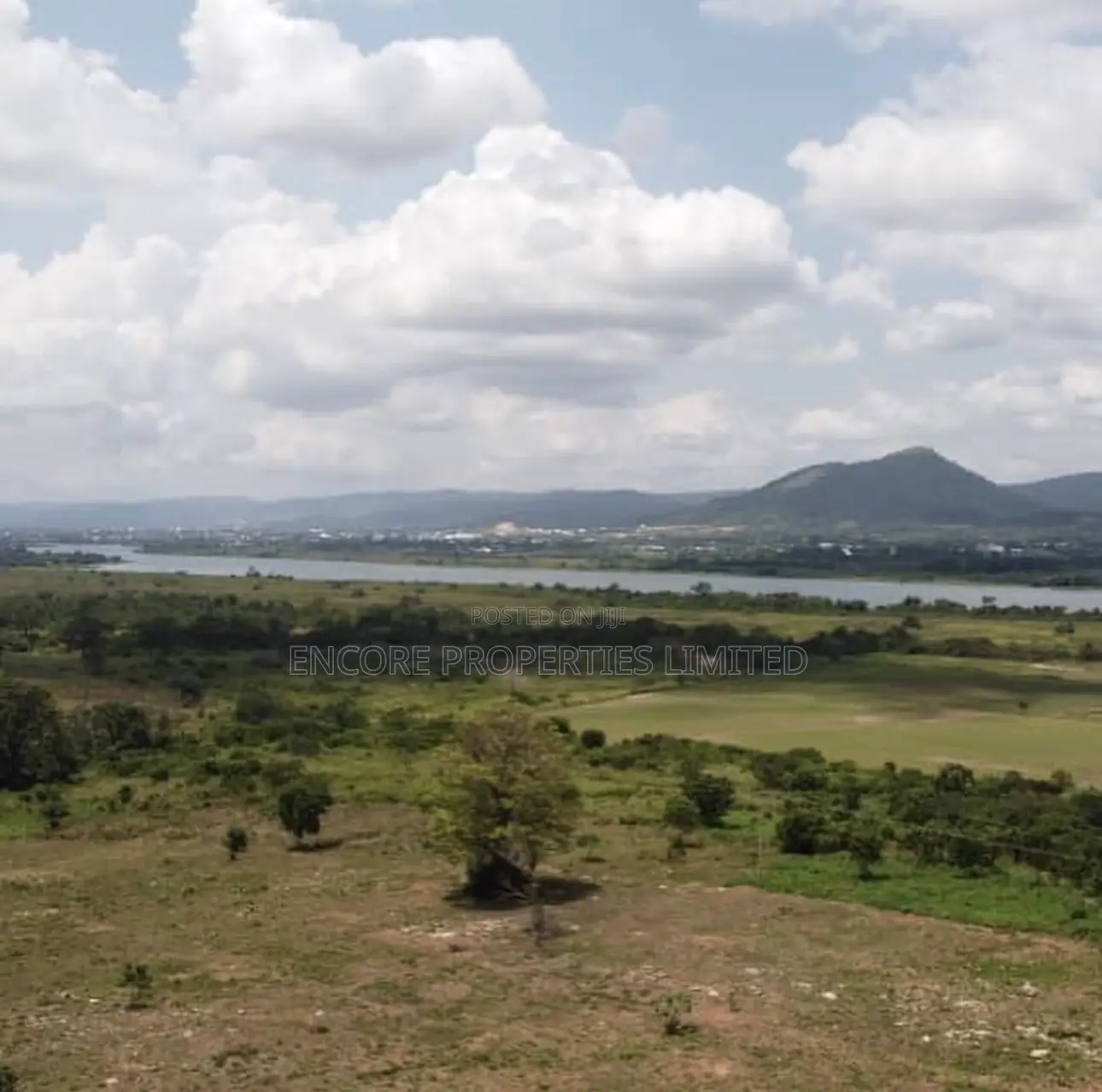 100 Acres of Fertile Farmland in Atimpoku, Akrad in Asuogyaman
