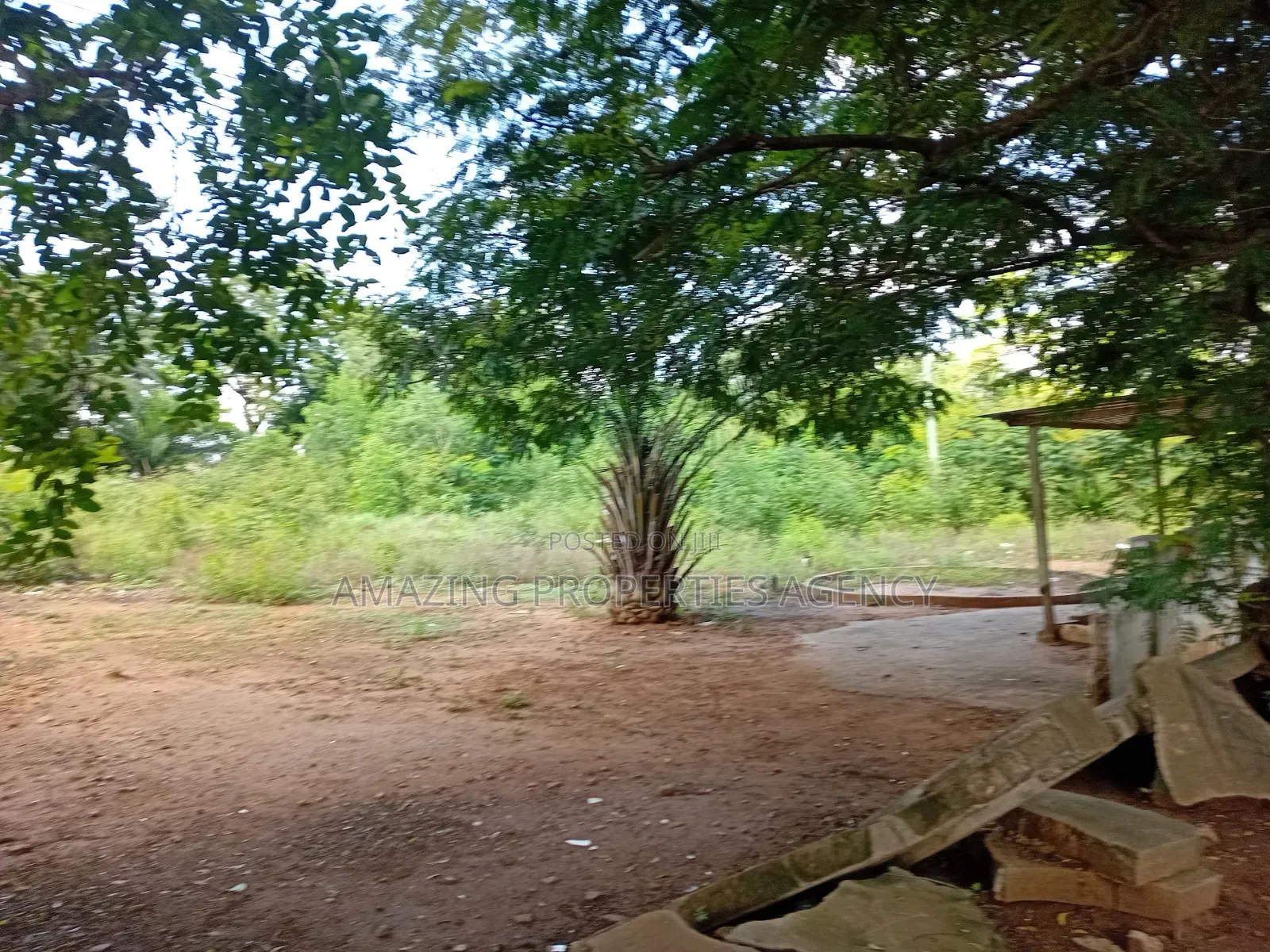 Farmland 150 Acres at Nsawam Accra Kumasi New in Tema Metropolitan