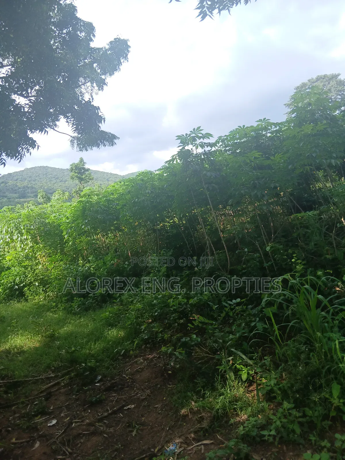 Land for Sale at Dodowa Ayikuma in Dodowa