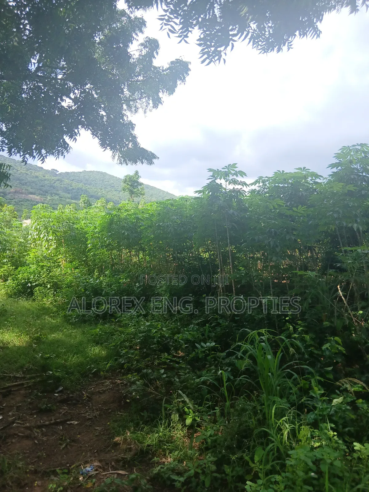 Land for Sale at Dodowa Ayikuma in Dodowa