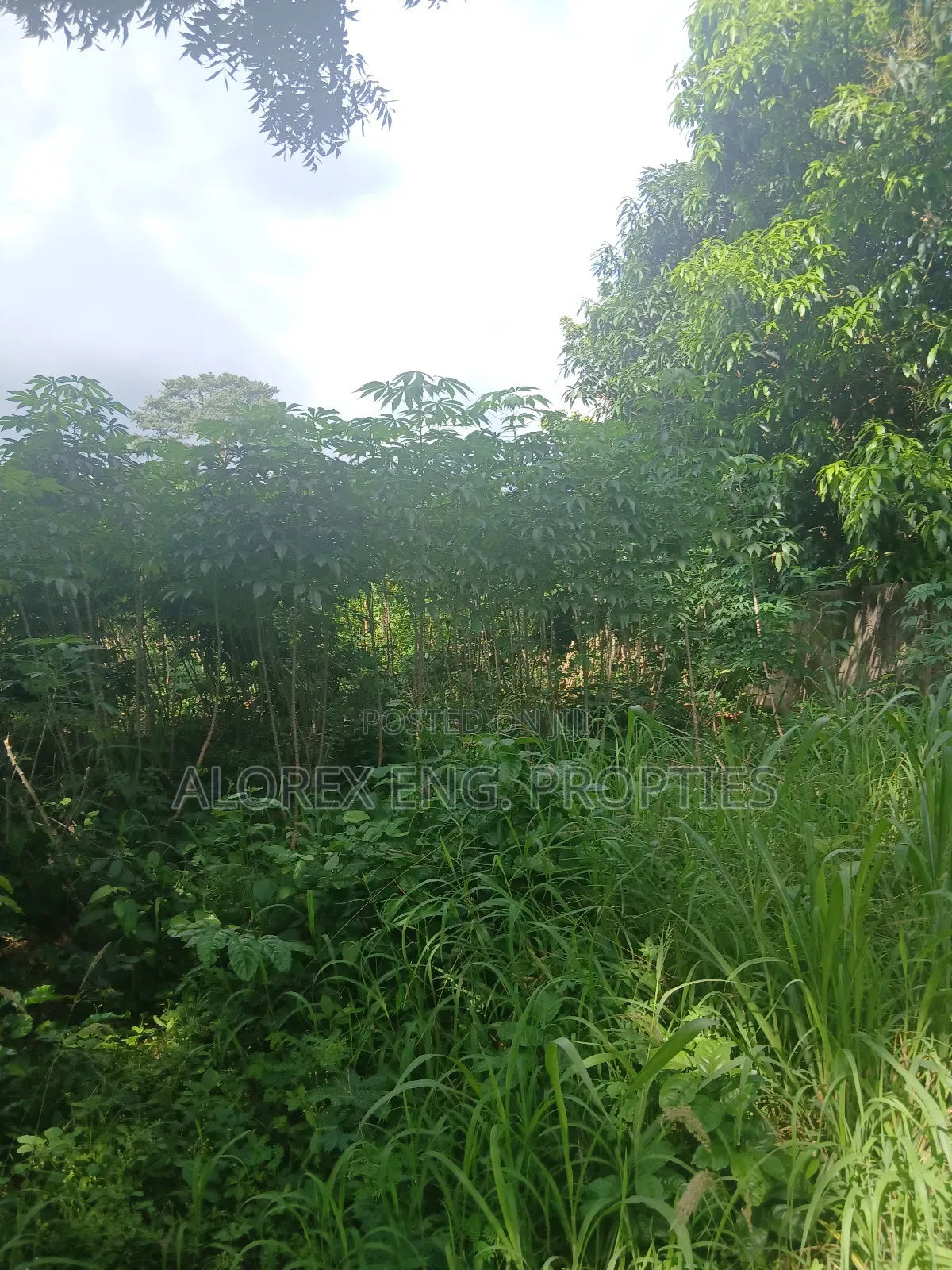 Land for Sale at Dodowa Ayikuma in Dodowa