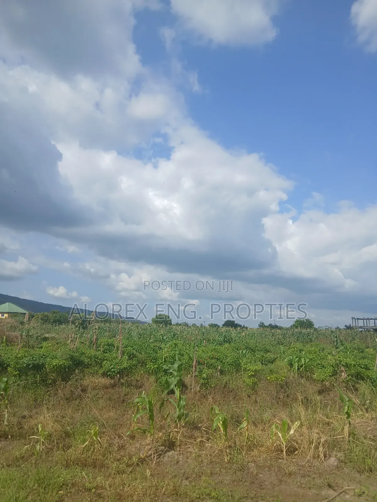 Land for Sale at Dodowa Ayikuma in Dodowa