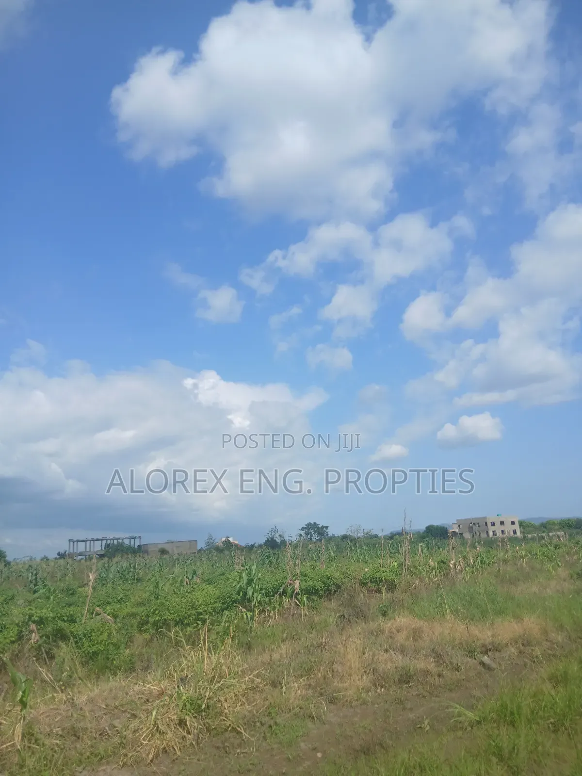 Land for Sale at Dodowa Ayikuma in Dodowa