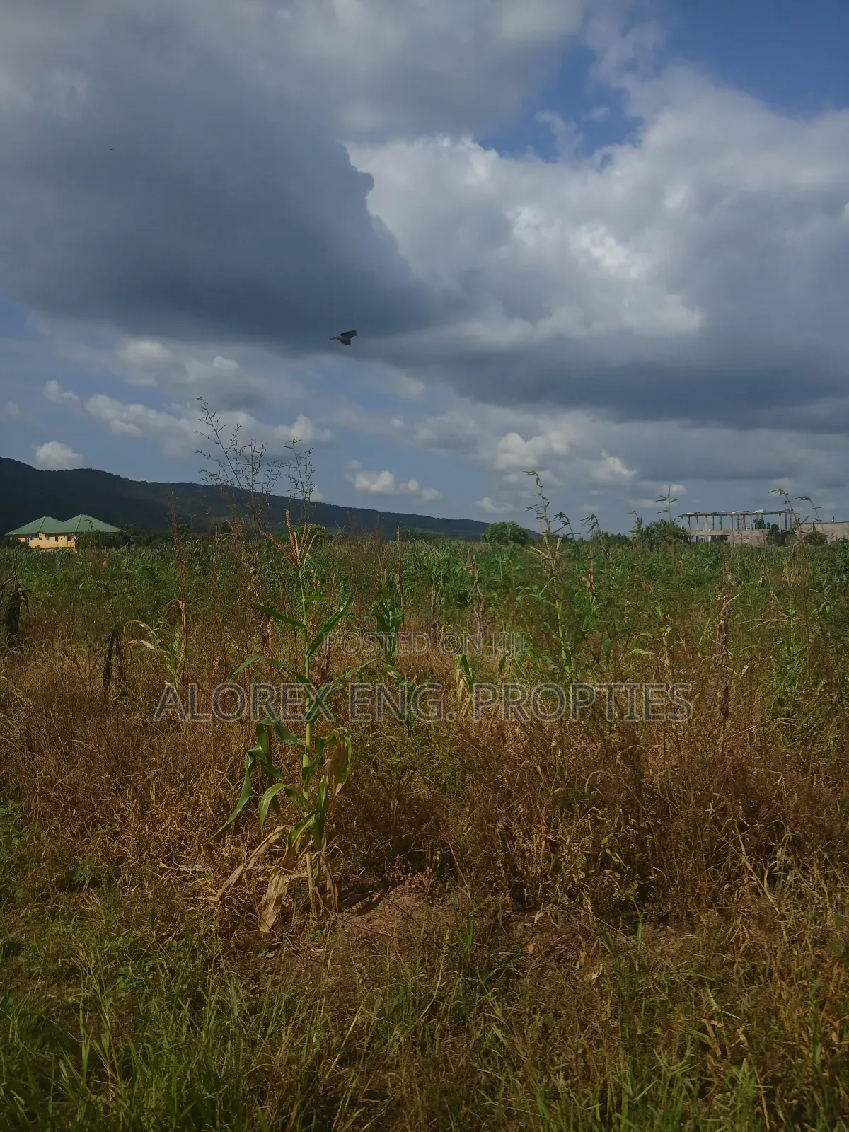 Land for Sale at Dodowa Ayikuma in Dodowa