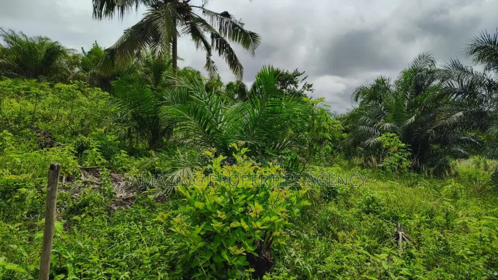 4000acres of Land Available for Sale at Dodowa, in East Akim Municipal