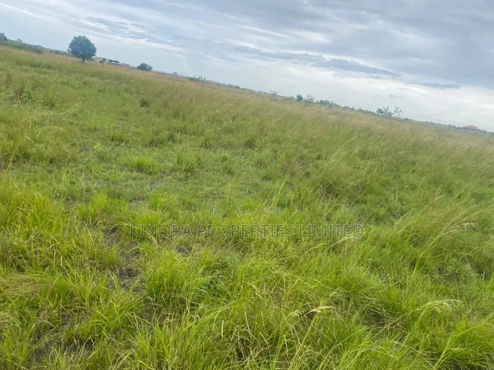Litigation Free Plots of Land for Sale at Prampram in Accra Metropolitan