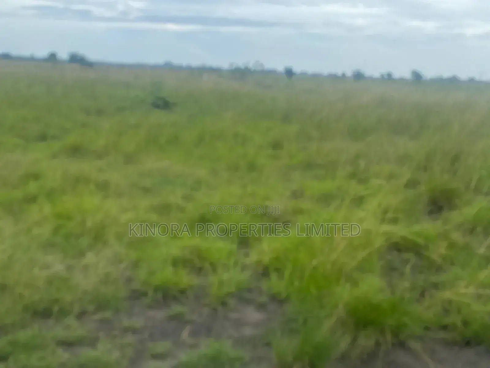 Litigation Free Plots of Land for Sale at Prampram in Accra Metropolitan