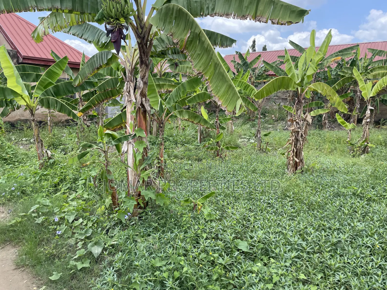 Plots for Sale at Kojo Ashong in Ga West Municipal