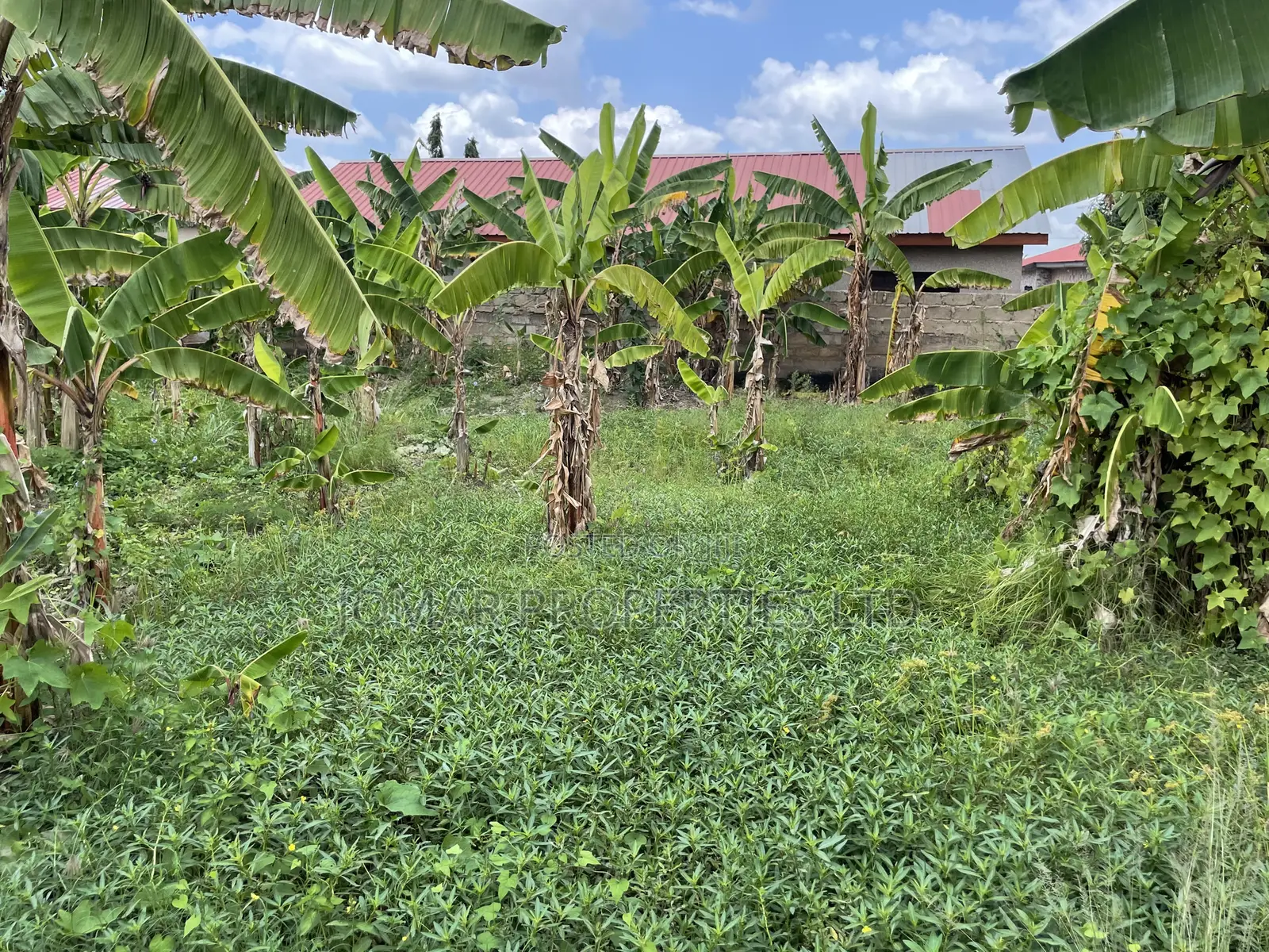 Plots for Sale at Kojo Ashong in Ga West Municipal
