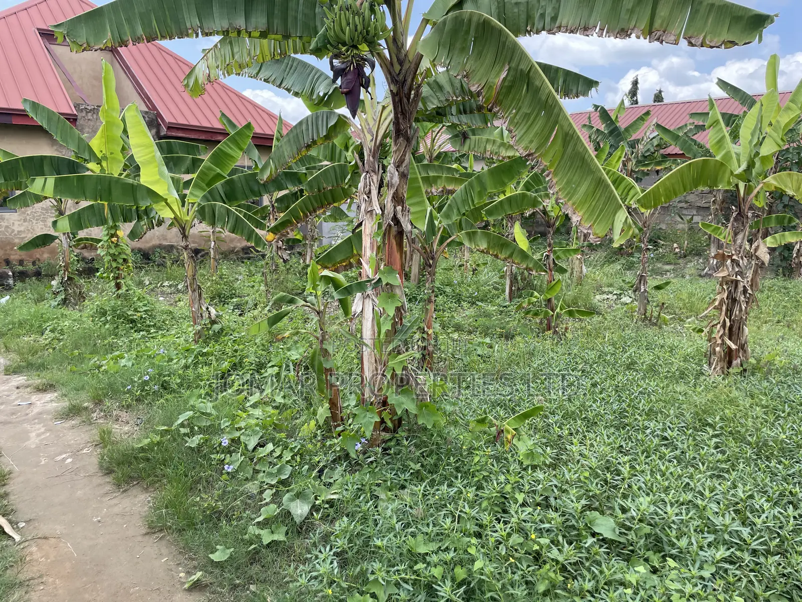 Plots for Sale at Kojo Ashong in Ga West Municipal