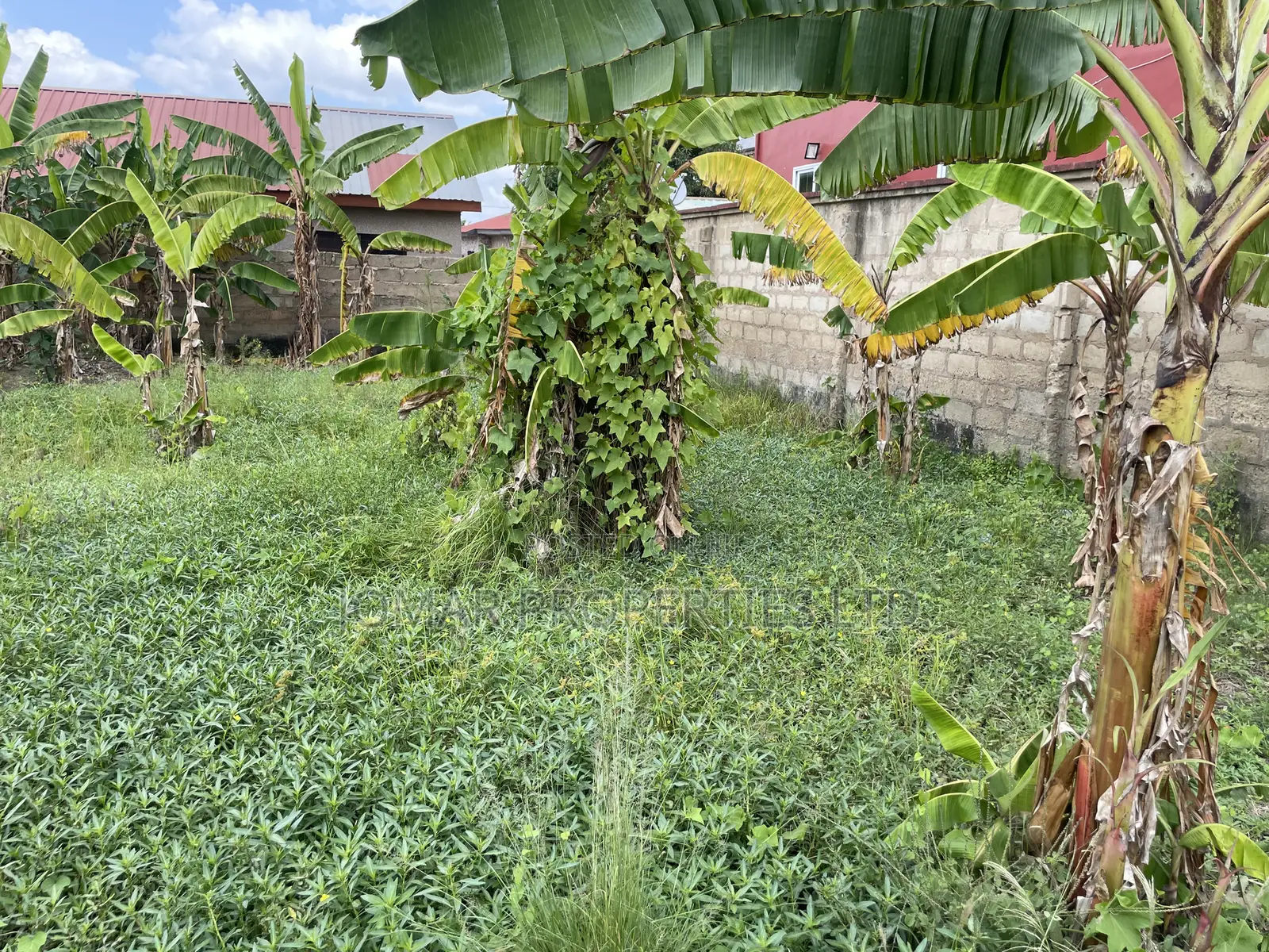 Plots for Sale at Kojo Ashong in Ga West Municipal