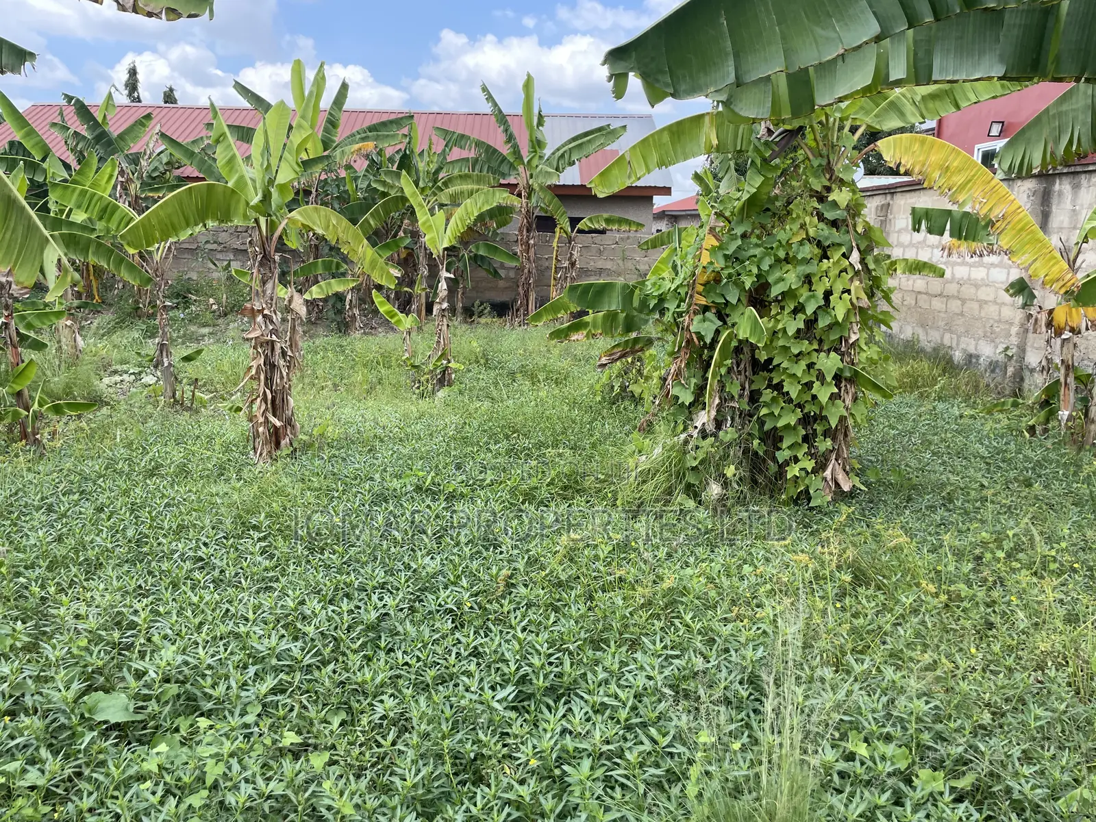 Plots for Sale at Kojo Ashong in Ga West Municipal