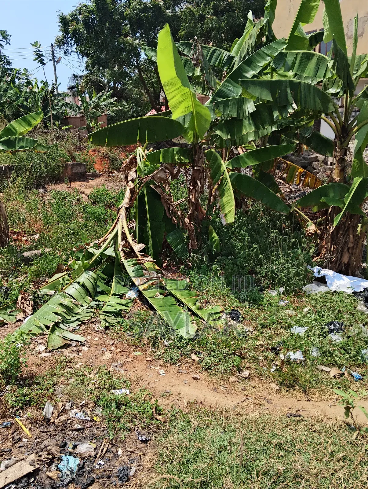1 Plot for Sale Comm3 Close to 3 Gym Area in Tema Metropolitan