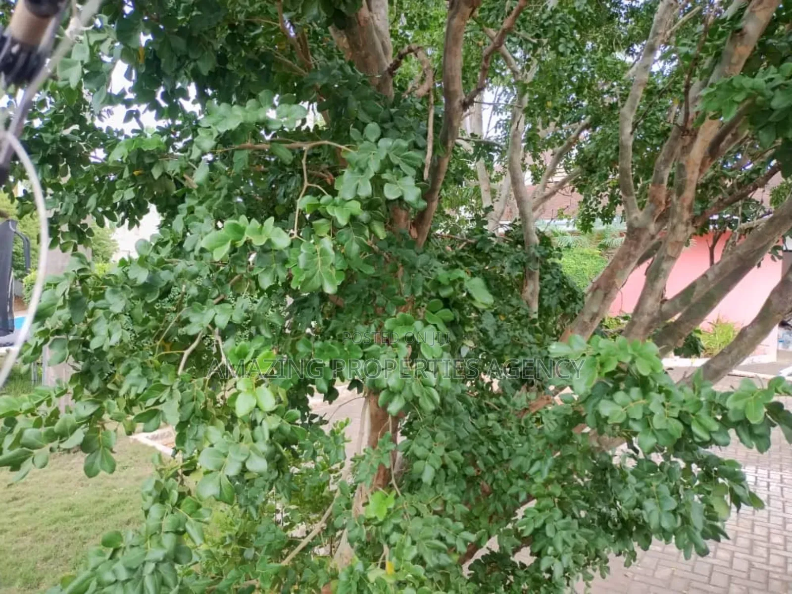 4 Acres of Land Are Available for Sale at East Cantonment. in Cantonments