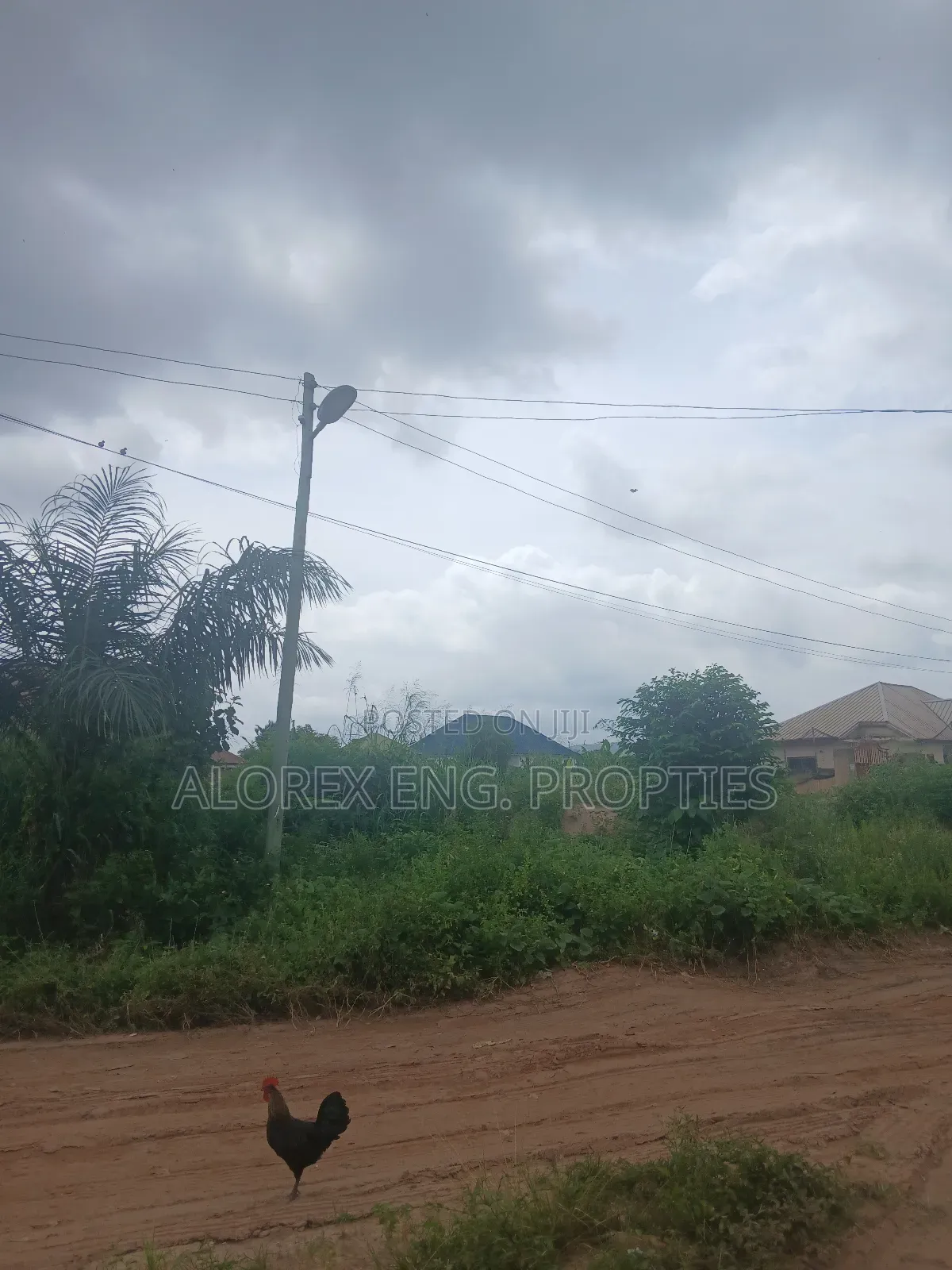 Land for Sale at Akwapim Mampong in Akuapim North