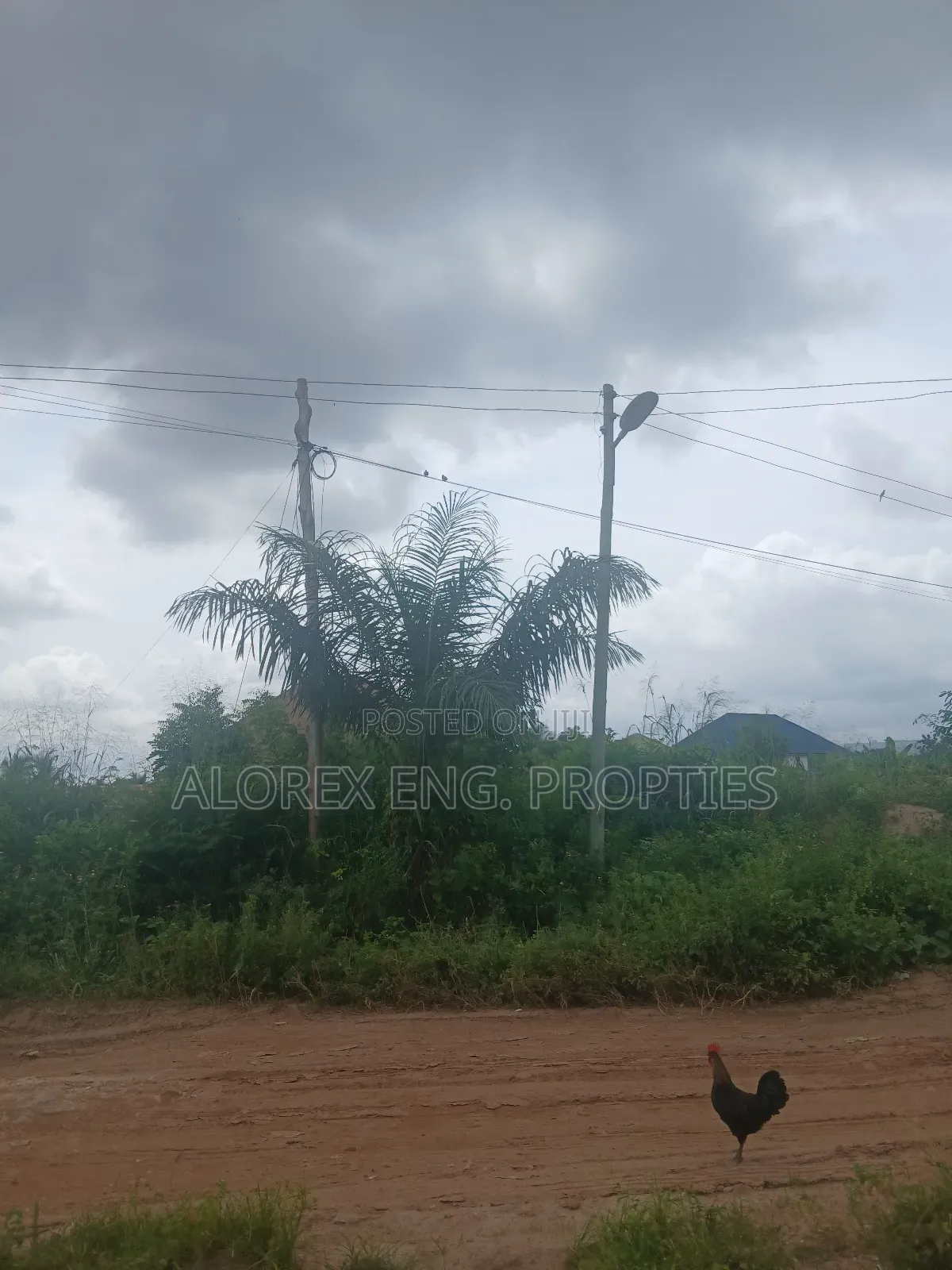 Land for Sale at Akwapim Mampong in Akuapim North