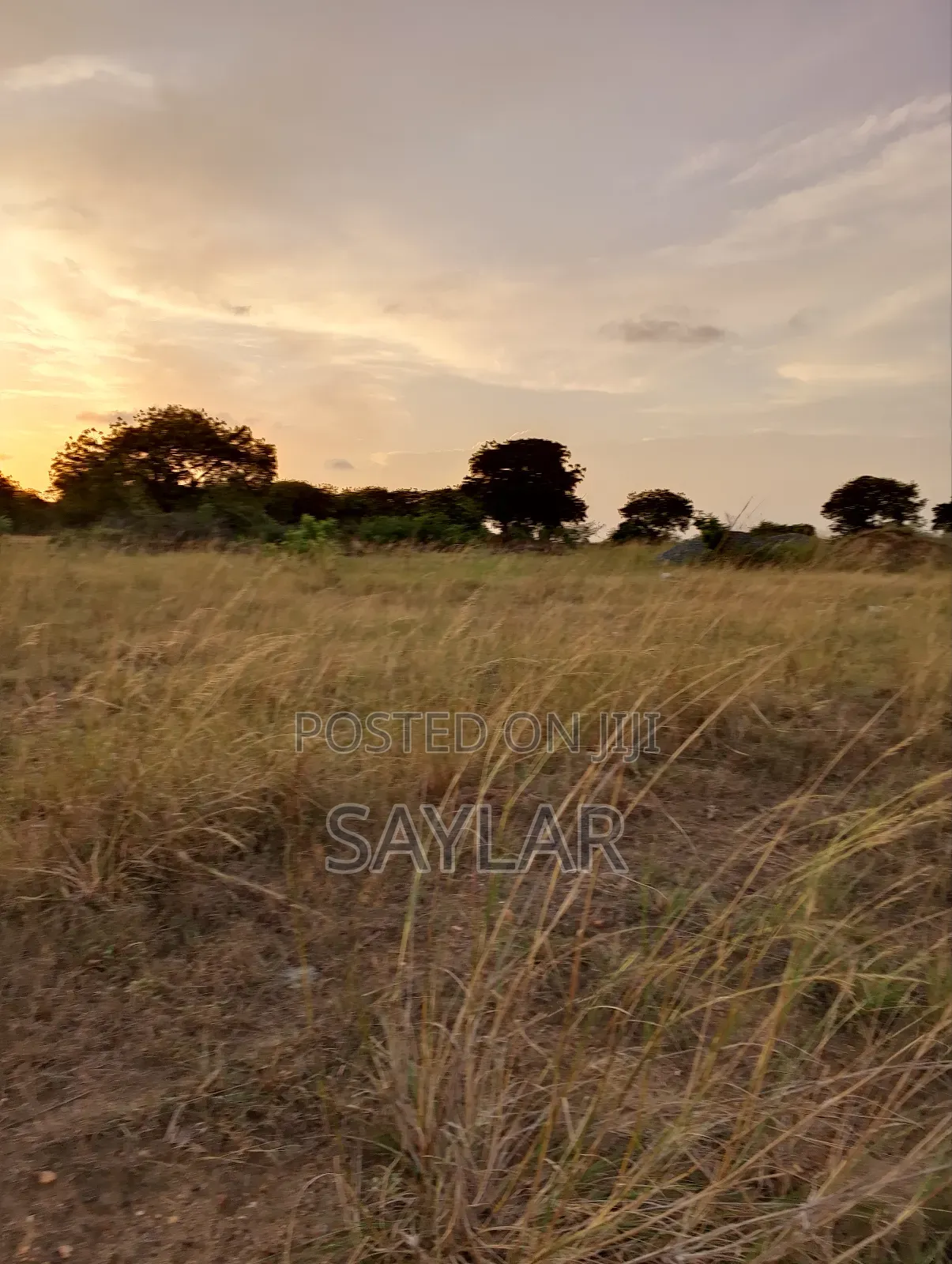 2 Plots for Hot Sale Sakomono Celebrity Golf Course Area in Tema Metropolitan