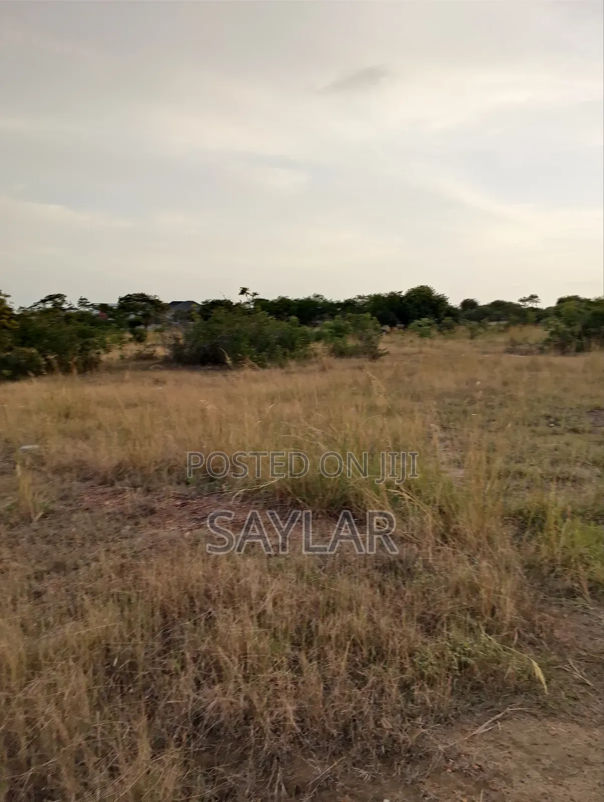 2 Plots for Hot Sale Sakomono Celebrity Golf Course Area in Tema Metropolitan