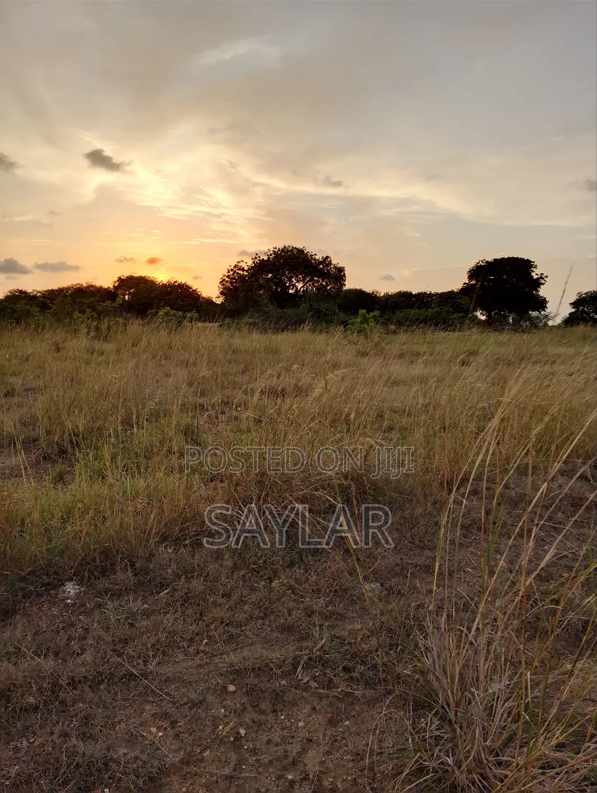 2 Plots for Hot Sale Sakomono Celebrity Golf Course Area in Tema Metropolitan