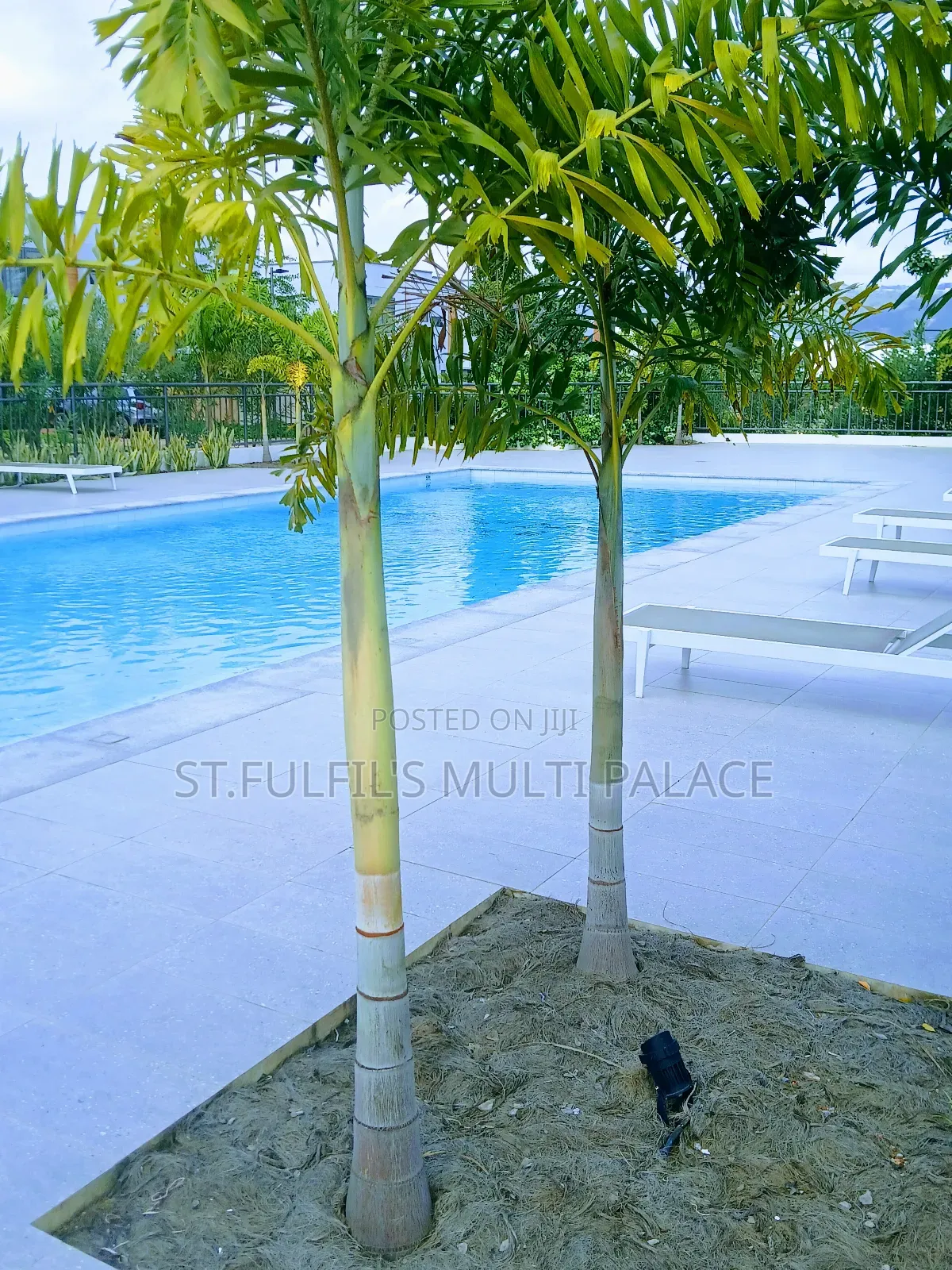 3bdrm Townhouse / Terrace in Oyarifa, Adenta for rent in Adenta
