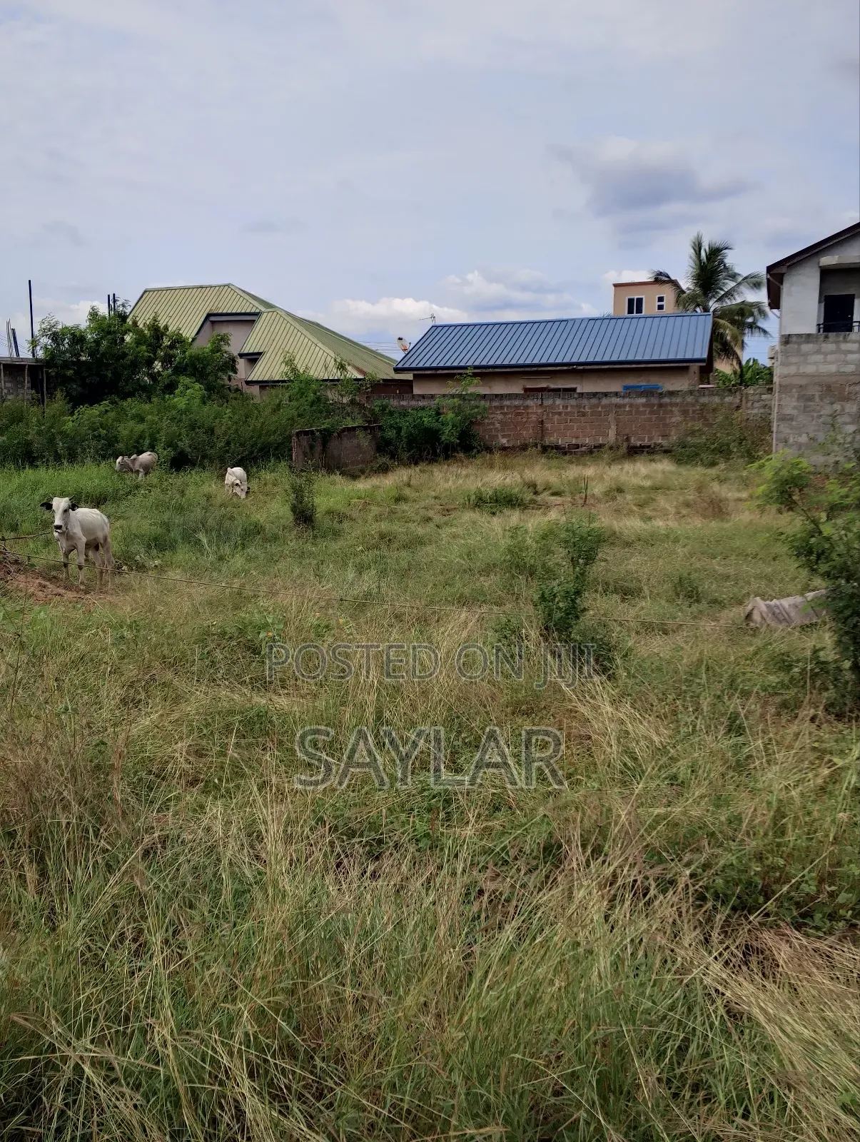 Nice Half Plot Klagon With TDC Documents by Regimaneul Estates Fence in Tema Metropolitan