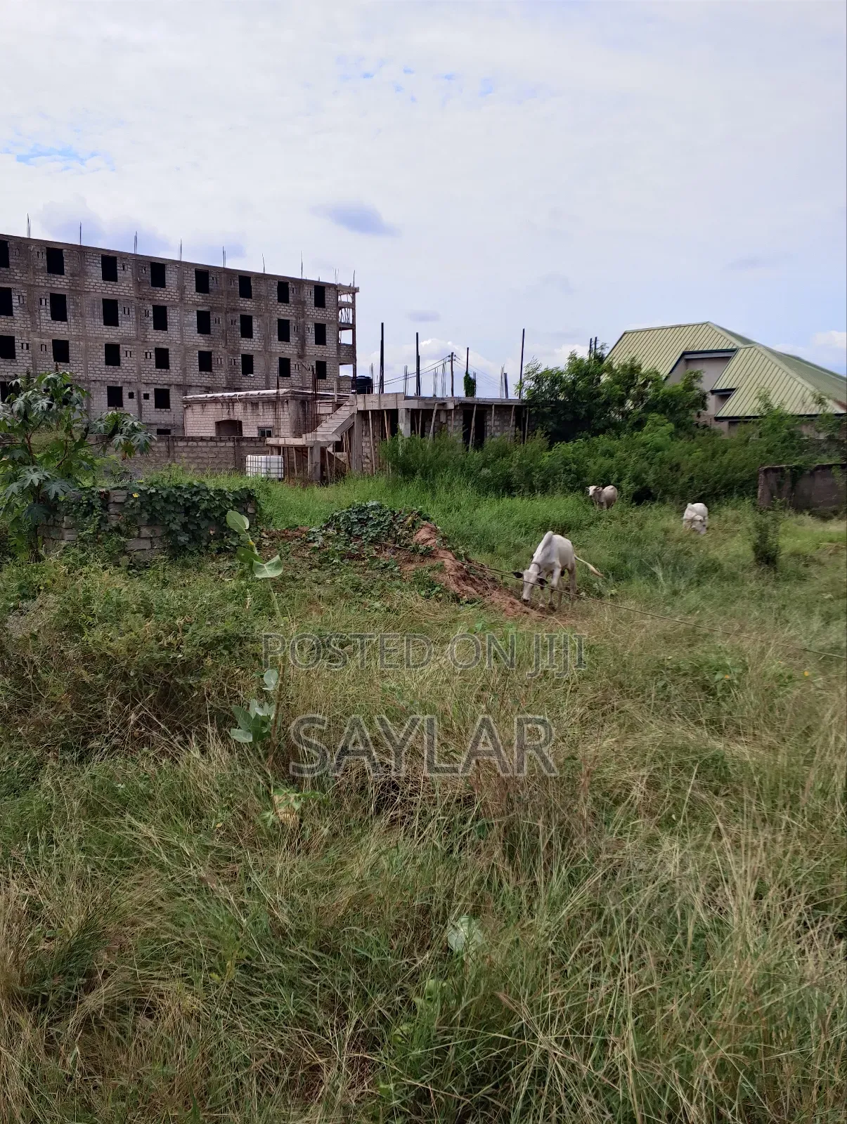 Nice Half Plot Klagon With TDC Documents by Regimaneul Estates Fence in Tema Metropolitan