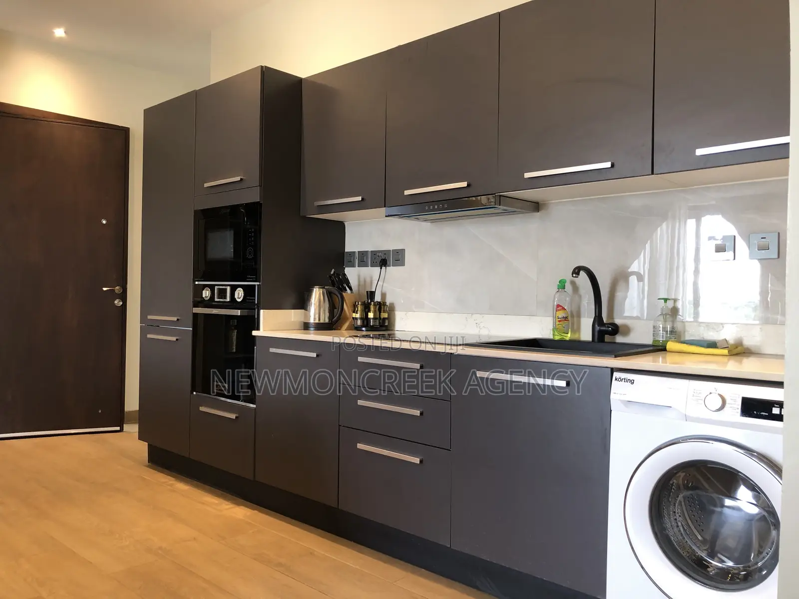 Furnished 2bdrm Apartment in Cantonments,American for rent in Cantonments