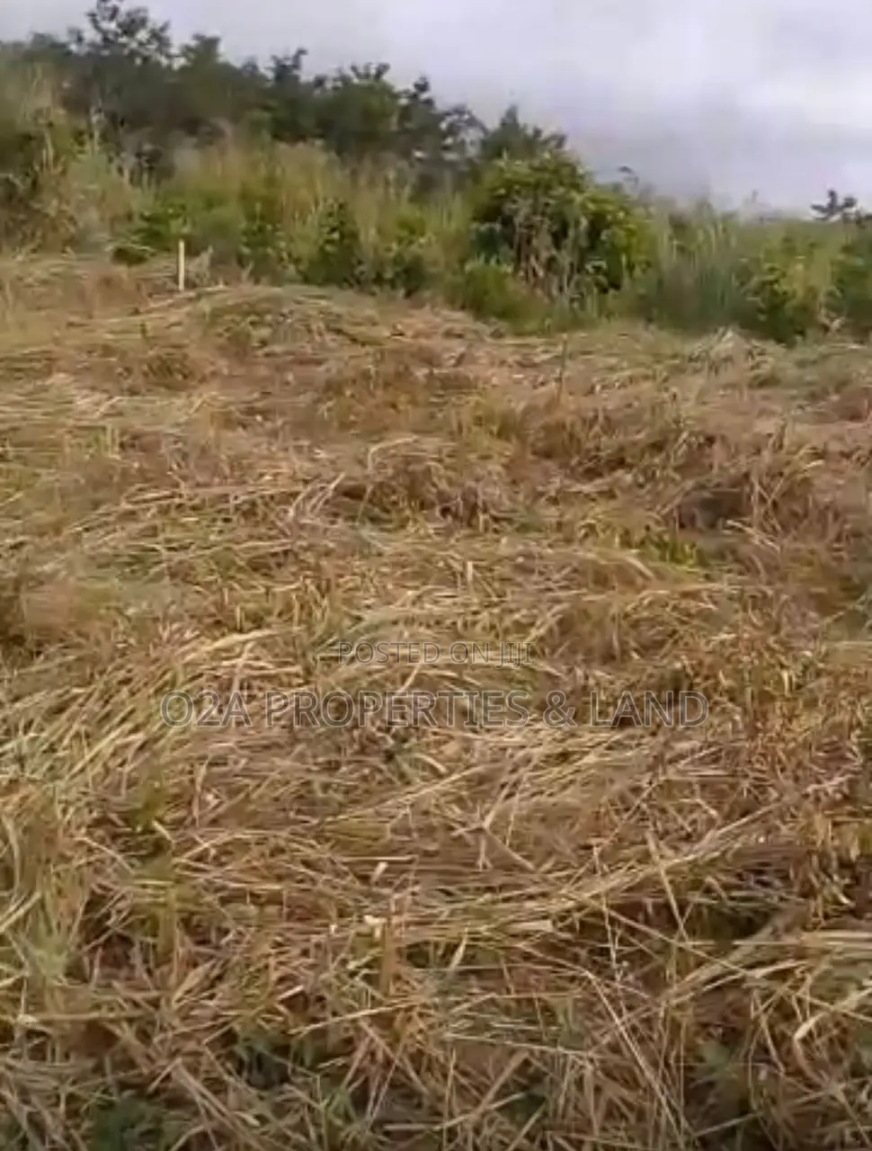 Executive Titled Plot of Land for Sale at Ekumfi Nanaben in Ekumfi