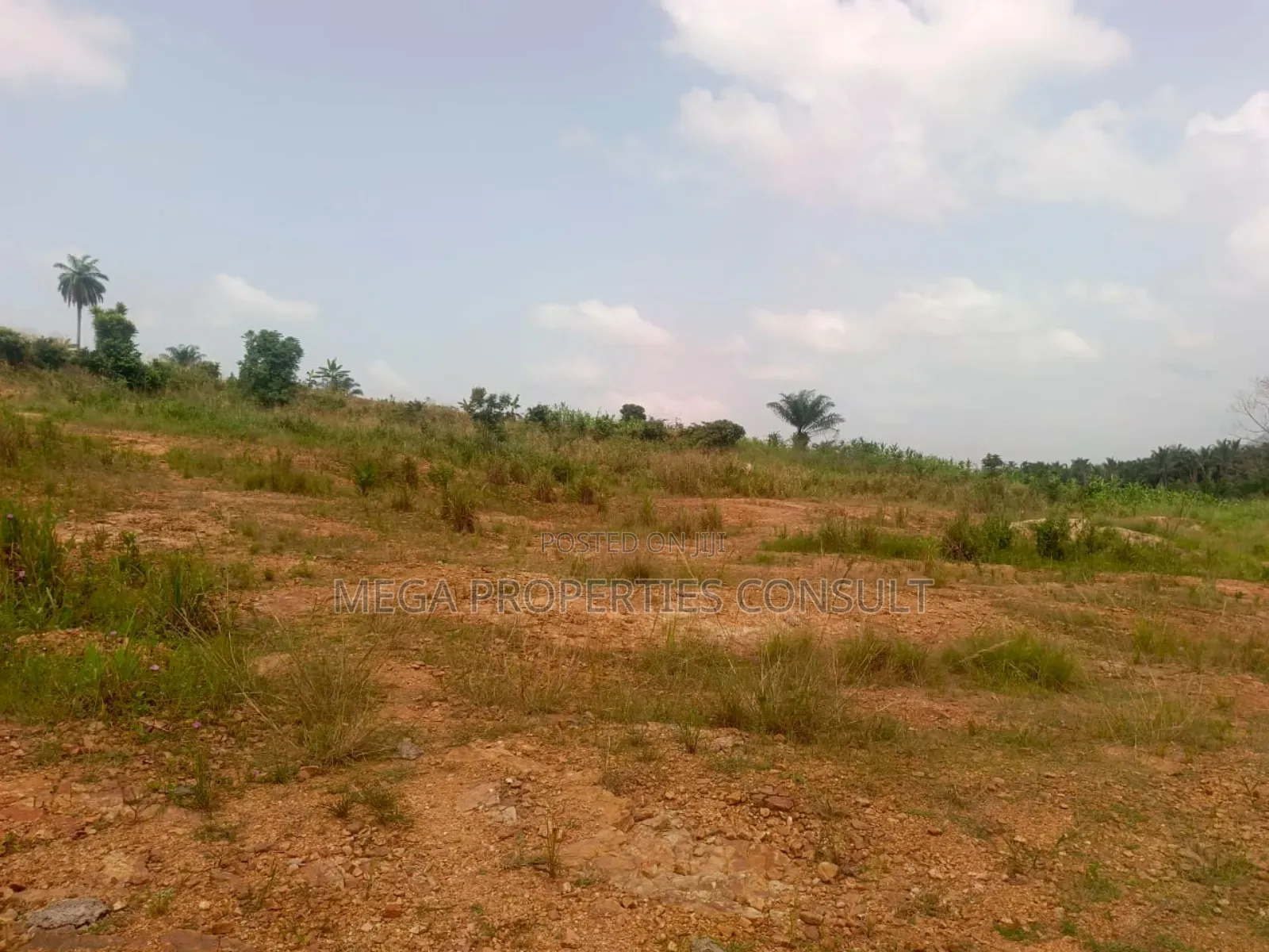 Land for Sale in Eastern Region in Akuapim South