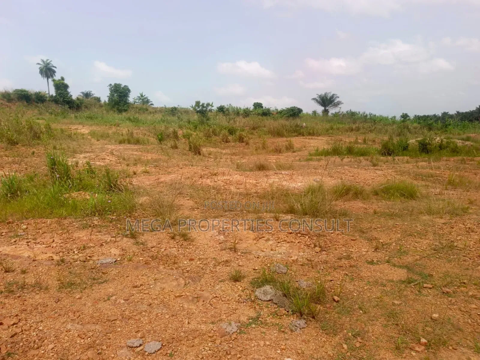 Land for Sale in Eastern Region in Akuapim South