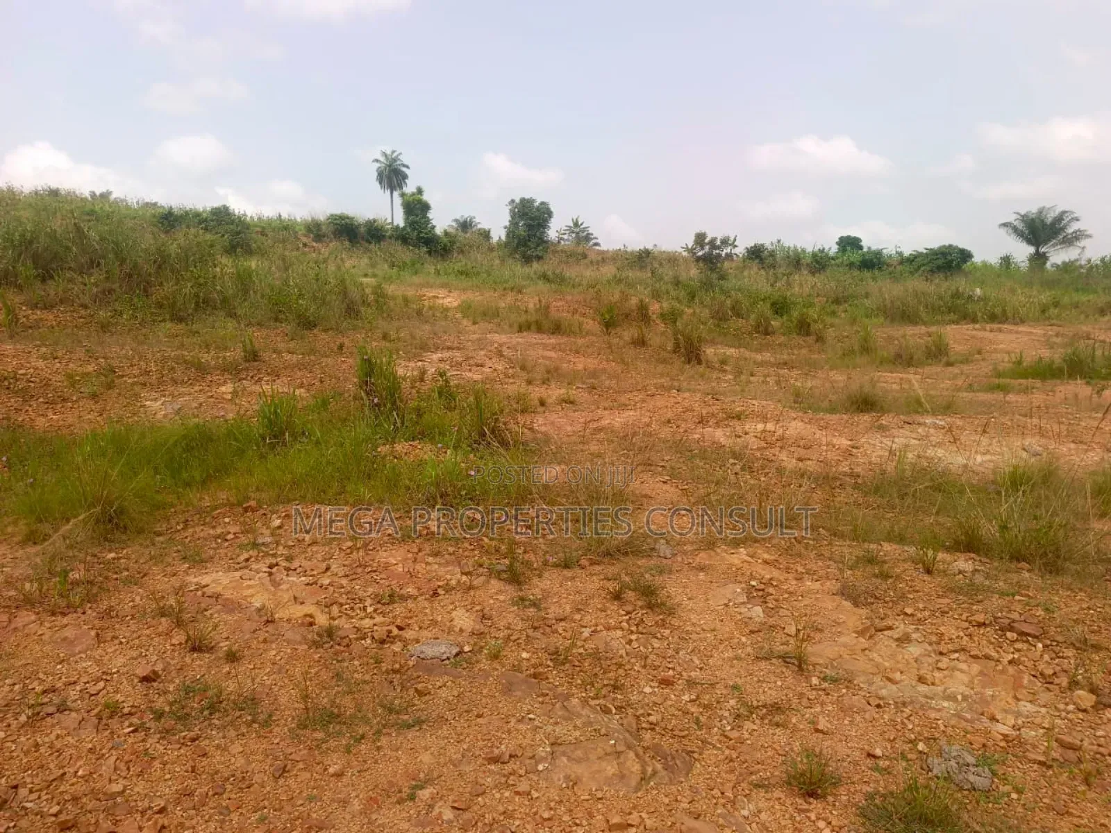 Land for Sale in Eastern Region in Akuapim South