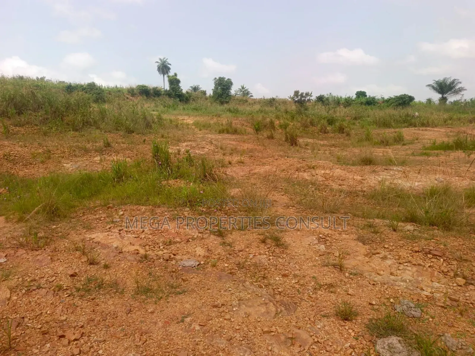 Land for Sale in Eastern Region in Akuapim South